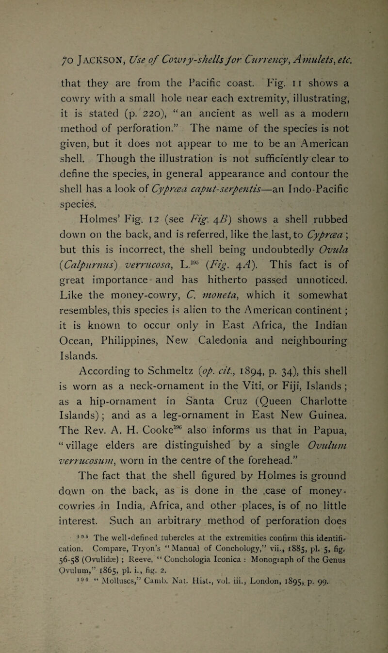 that they are from the Pacific coast. Fig. 11 shows a cowry with a small hole near each extremity, illustrating, it is stated (p. 220), “an ancient as well as a modern method of perforation.” The name of the species is not given, but it does not appear to me to be an American shell. Though the illustration is not sufficiently clear to define the species, in general appearance and contour the shell has a look of Cyprcea caput-serpentis—an Indo-Pacific species. Holmes’ Fig. 12 (see Fig. 4B) shows a shell rubbed down on the back, and is referred, like the last, to Cyprcea ; but this is incorrect, the shell being undoubtedly Ovula (Calpurnus) verrucosa, L.195 {Fig. 4A). This fact is of great importance and has hitherto passed unnoticed. Like the money-cowry, C. inoneta, which it somewhat resembles, this species is alien to the American continent; it is known to occur only in East Africa, the Indian Ocean, Philippines, New Caledonia and neighbouring Islands. According to Schmeltz {op. cit., 1894, p. 34), this shell is worn as a neck-ornament in the Viti, or Fiji, Islands ; as a hip-ornament in Santa Cruz (Queen Charlotte Islands); and as a leg-ornament in East New Guinea. The Rev. A. H. Cooke190 also informs us that in Papua, “ village elders are distinguished by a single Ovulum verrucosum, worn in the centre of the forehead.” The fact that the shell figured by Holmes is ground do,wn on the back, as is done in the case of money - cowries in India, Africa, and other places, is of no little interest. Such an arbitrary method of perforation does 105 The well-defined tubercles at the extremities confirm this identifi¬ cation. Compare, Tryon’s “Manual of Conchology,” vii., 1885, pi. 5, fig. 56-58 (Ovulidce) ; Reeve, “ Conchologia Iconica : Monograph of the Genus Ovulum,” 1865, pi. i., fig. 2. 100 “ Molluscs,” Camb. Nat. Ilist., vol. iii., London, 1895, p. 99.