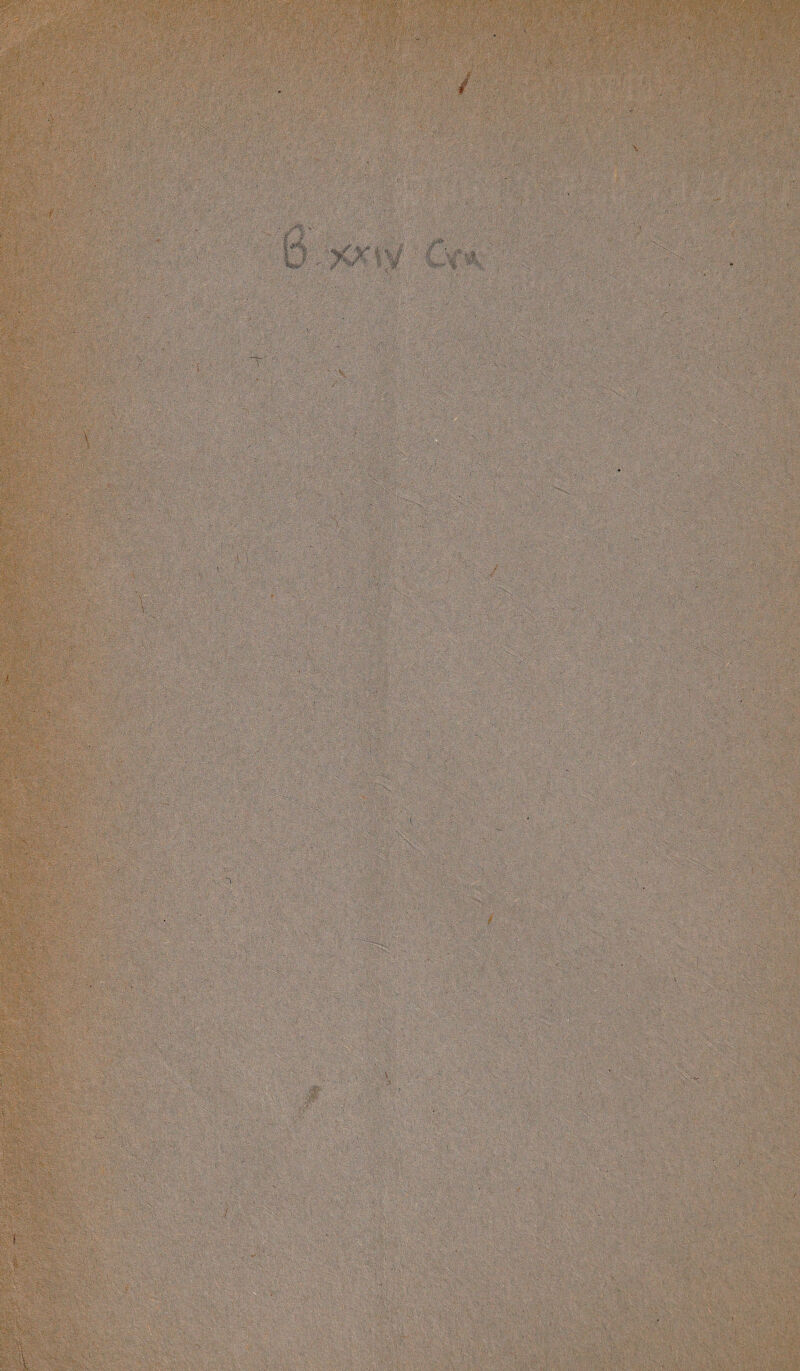 % i#1' .4^ j/ ÿ r V i », % t ÿî: ■ w