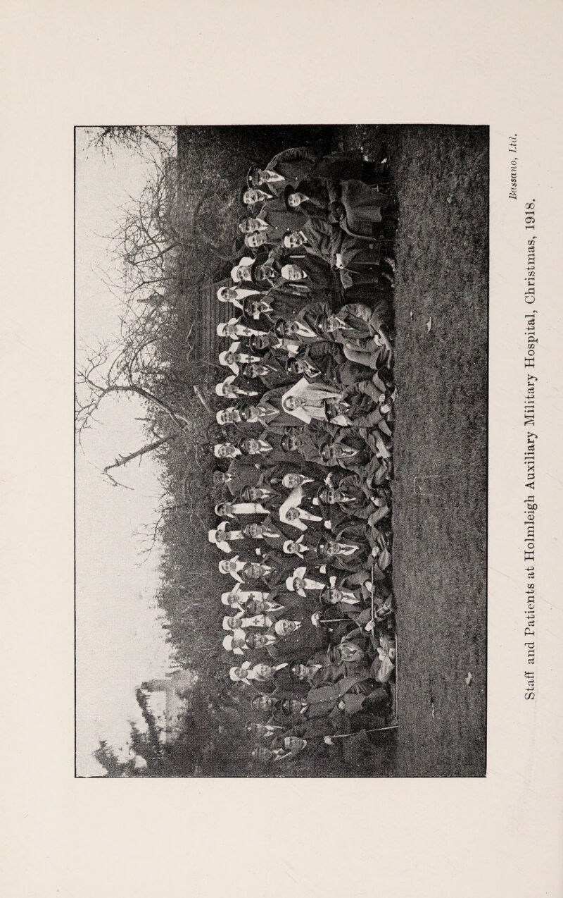 Staff and Patients at Holmleigh Auxiliary Military Hospital, Christmas, 1918.