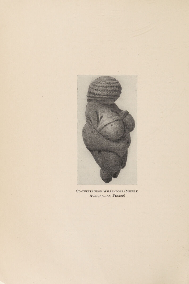 Statuette from Willendorf (Middle Aurignacian Period)