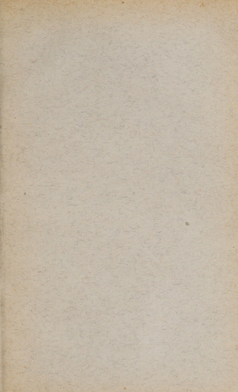 ^ L . * Y-* \ - • , -: V | ' • ■ * '■». • - * * y ■> - - ^ - ~ < BKQ s ■».... ’