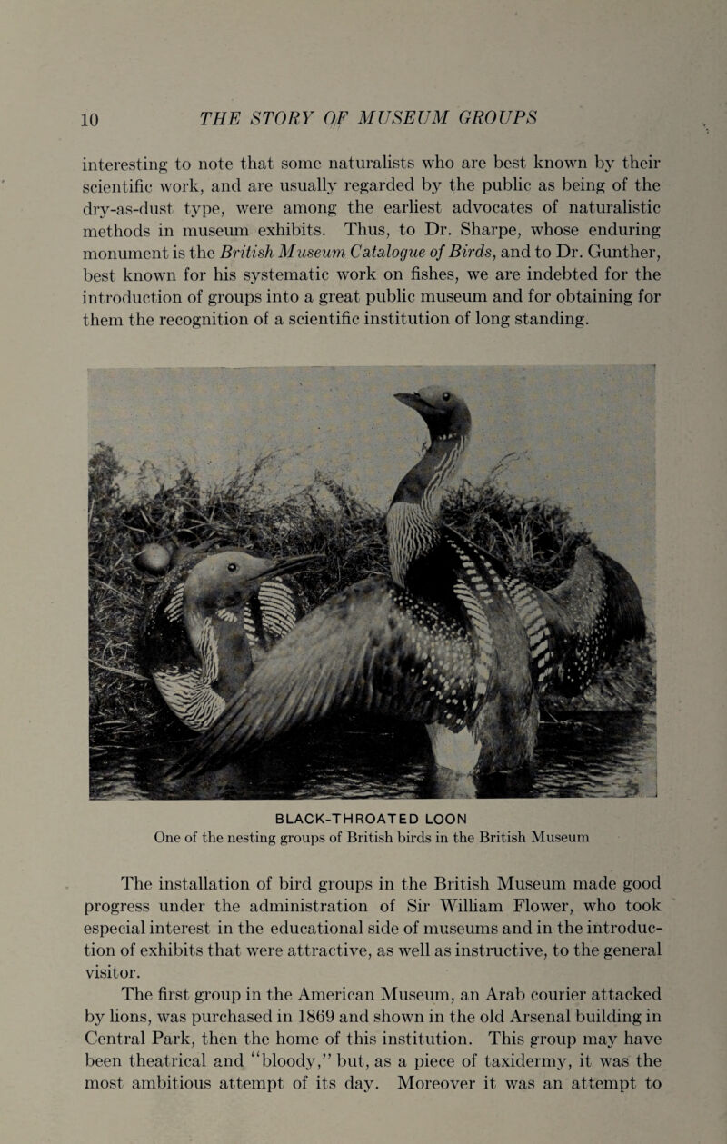 interesting to note that some naturalists who are best known by their scientific work, and are usually regarded by the public as being of the dry-as-dust type, were among the earliest advocates of naturalistic methods in museum exhibits. Thus, to Dr. Sharpe, whose enduring monument is the British Museum Catalogue of Birds, and to Dr. Gunther, best known for his systematic work on fishes, we are indebted for the introduction of groups into a great public museum and for obtaining for them the recognition of a scientific institution of long standing. BLACK-THROATED LOON One of the nesting groups of British birds in the British Museum The installation of bird groups in the British Museum made good progress under the administration of Sir William Flower, who took especial interest in the educational side of museums and in the introduc¬ tion of exhibits that were attractive, as well as instructive, to the general visitor. The first group in the American Museum, an Arab courier attacked by lions, was purchased in 1869 and shown in the old Arsenal building in Central Park, then the home of this institution. This group may have been theatrical and “bloody/’ but, as a piece of taxidermy, it was the most ambitious attempt of its day. Moreover it was an attempt to