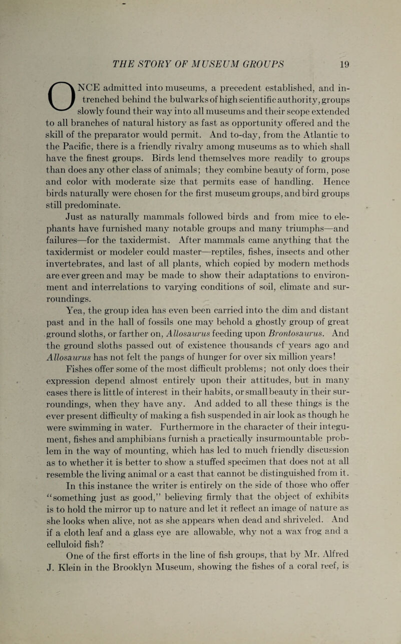 ONCE admitted into museums, a precedent established, and in¬ trenched behind the bulwarks of high scientific authority, groups slowly found their way into all museums and their scope extended to all branches of natural history as fast as opportunity offered and the skill of the preparator would permit. And to-day, from the Atlantic to the Pacific, there is a friendly rivalry among museums as to which shall have the finest groups. Birds lend themselves more readily to groups than does any other class of animals; they combine beauty of form, pose and color with moderate size that permits ease of handling. Hence birds naturally were chosen for the first museum groups, and bird groups still predominate. Just as naturally mammals followed birds and from mice to ele¬ phants have furnished many notable groups and many triumphs—and failures—for the taxidermist. After mammals came anything that the taxidermist or modeler could master—reptiles, fishes, insects and other invertebrates, and last of all plants, which copied by modern methods are ever green and may be made to show their adaptations to environ¬ ment and interrelations to varying conditions of soil, climate and sur¬ roundings. Yea, the group idea has even been carried into the dim and distant past and in the hall of fossils one may behold a ghostly group of great ground sloths, or farther on, Allosaurus feeding upon Brontosaurus. And the ground sloths passed out of existence thousands cf years ago and Allosaurus has not felt the pangs of hunger for over six million years! Fishes offer some of the most difficult problems; not only does their expression depend almost entirely upon their attitudes, but in many cases there is little of interest in their habits, or small beauty in their sur¬ roundings, when they have any. And added to all these things is the ever present difficulty of making a fish suspended in air look as though he were swimming in water. Furthermore in the character of their integu¬ ment, fishes and amphibians furnish a practically insurmountable prob¬ lem in the way of mounting, which has led to much fiiendly discussion as to whether it is better to show a stuffed specimen that does not at all resemble the living animal or a cast that cannot be distinguished from it. In this instance the writer is entirely on the side of those who offer usomething just as good,” believing firmly that the object of exhibits is to hold the mirror up to nature and let it reflect an image of nature as she looks when alive, not as she appears when dead and shriveled. And if a cloth leaf and a glass eye are allowable, why not a wax frog and a celluloid fish? One of the first efforts in the line of fish groups, that by Mr. Alfred J. Klein in the Brooklyn Museum, showing the fishes of a coral reef, is