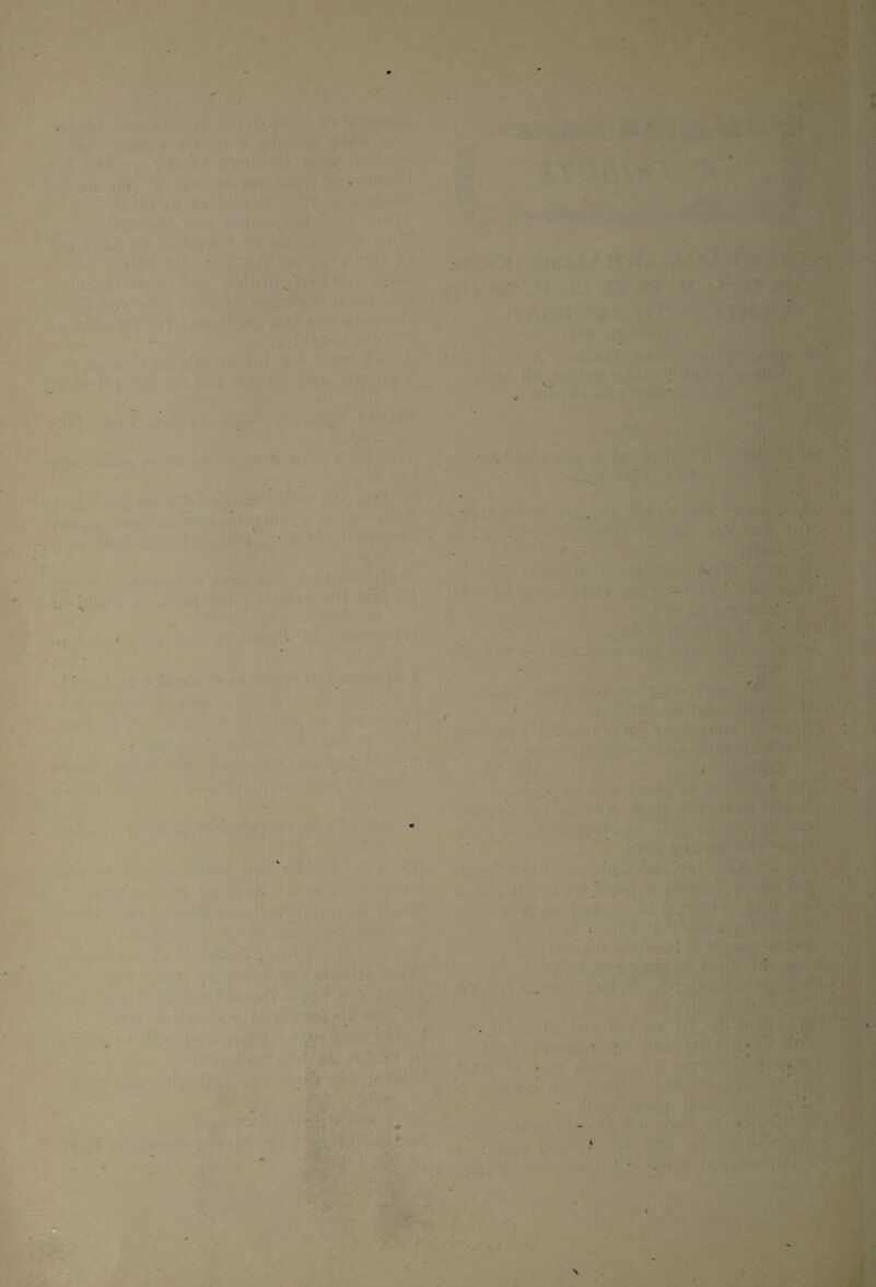 I / ‘ ' ■ v' . . f \ t - ■