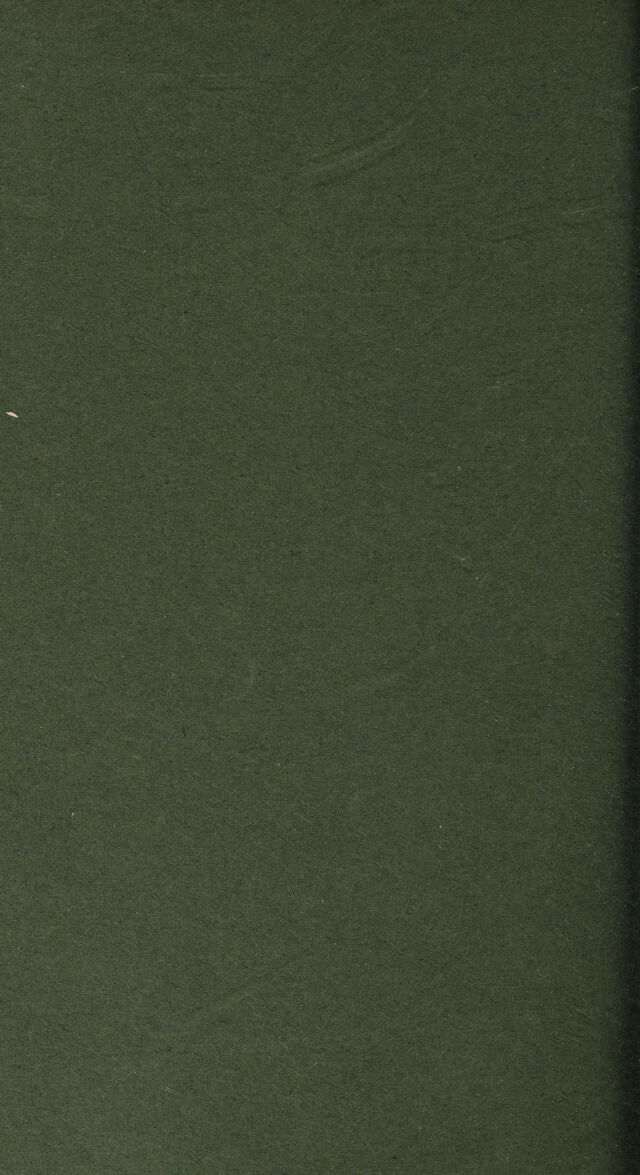 digitised image 2