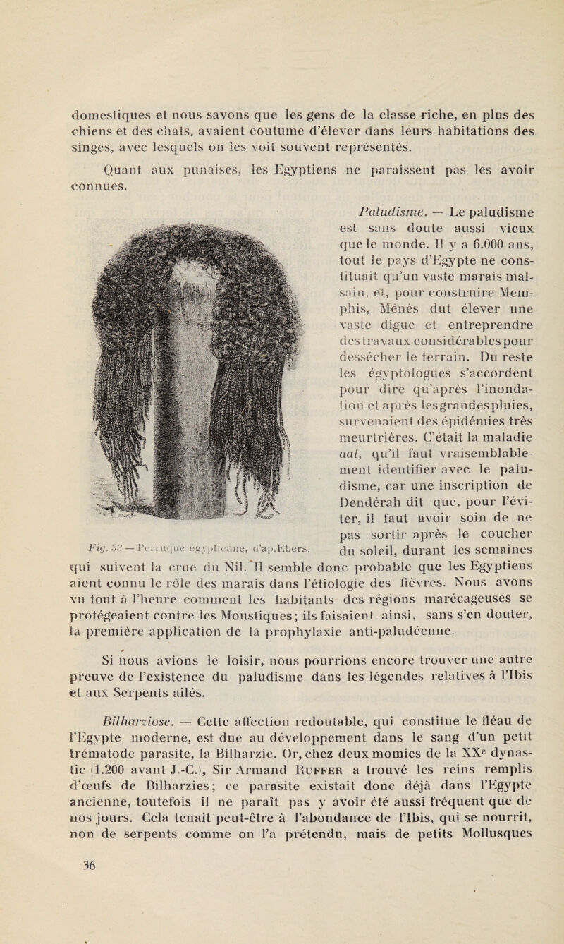 domestiques et nous savons que les gens de la classe riche, en plus des chiens et des chats, avaient coutume d’élever dans leurs habitations des singes, avec lesquels on les voit souvent représentés. Quant aux punaises, les Egyptiens ne paraissent pas les avoir connues. Paludisme. — Le paludisme est sans doute aussi vieux que le monde. 11 5^ a 6.000 ans, tout le paj^s d’Egypte ne cons¬ tituait qu’un vaste marais mal¬ sain, et, pour construire Mem¬ phis, Ménès dut élever une vaste digue et entreprendre des travaux considérables pour dessécher le terrain. Du reste les égyptologues s’accordent pour dire qu’après l’inonda¬ tion et après les grandes pluies, survenaient des épidémies très meurtrières. C’était la maladie aat, qu’il faut vraisemblable¬ ment identifier avec le palu¬ disme, car une inscription de Dendérah dit que, pour l’évi¬ ter, il faut avoir soin de ne pas sortir après le coucher du soleil, durant les semaines qui suivent la crue du Nil. 11 semble donc probable que les Egyptiens aient connu le rôle des marais dans l’étiologie des fièvres. Nous avons vu tout à l’heure comment les habitants des régions marécageuses se protégeaient contre les Moustiques; ils faisaient ainsi, sans s’en douter, la première application de la prophylaxie anti-paludéenne. Si nous avions le loisir, nous pourrions encore trouver une autre preuve de l’existence du paludisme dans les légendes relatives à l’Ibis et aux Serpents ailés. Bilharziose. — Cette affection redoutable, qui constitue le lléau de l’Egypte moderne, est due au développement dans le sang d’un petit trématode parasite, la Billiarzie. Or, chez deux momies de la XX^ dynas¬ tie (1.200 avant J.-C.), Sir Armand Uuffer a trouvé les reins remplis d’œufs de Bilharzies; ce parasite existait donc déjà dans l’Egypte ancienne, toutefois il ne paraît pas y avoir été aussi fréquent que de nos jours. Cela tenait peut-être à l’abondance de l’îbis, qui se nourrit, non de serpents comme on l’a prétendu, mais de petits Mollusques