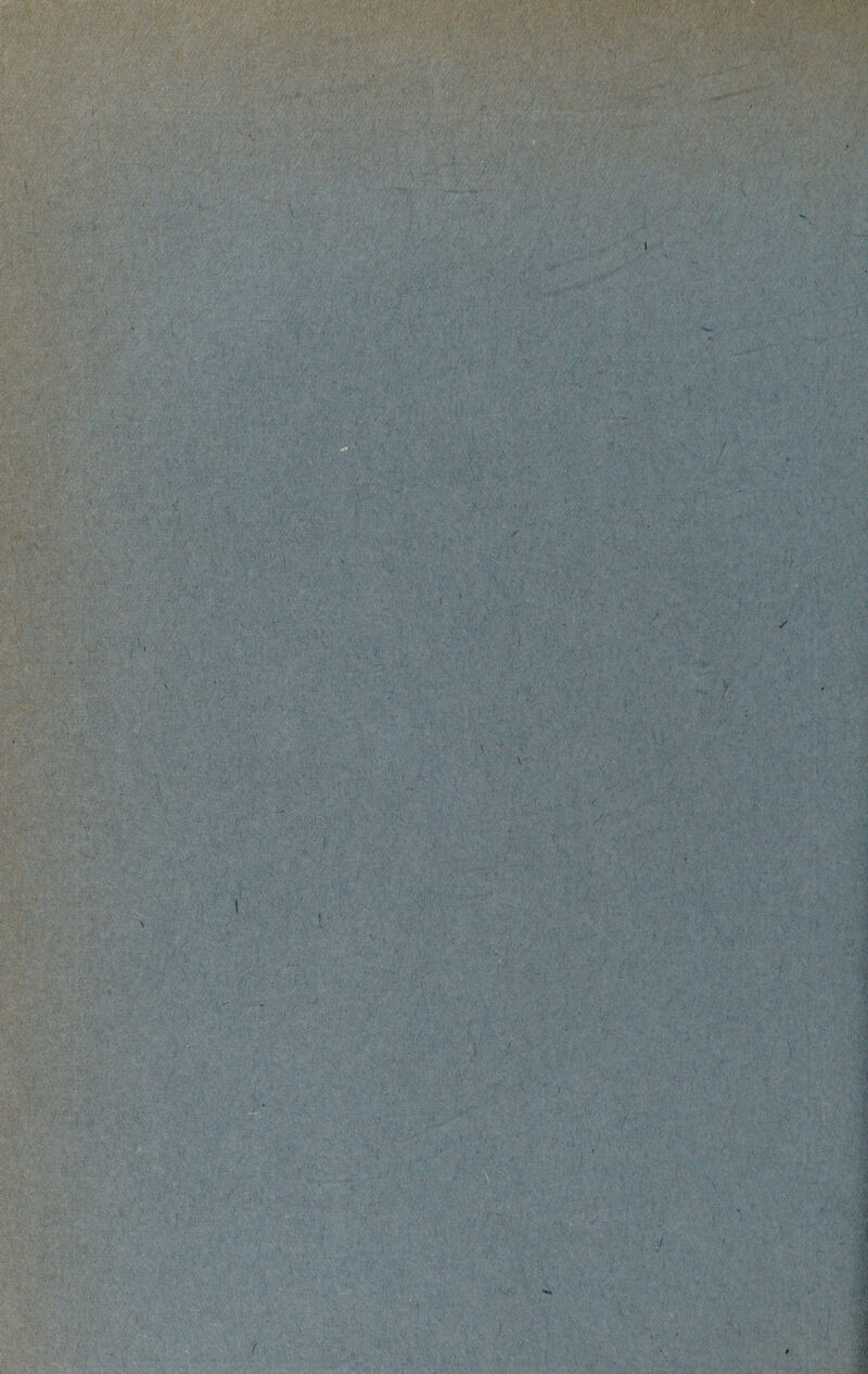 V t f. 4/ ( \ V I \ -i IS