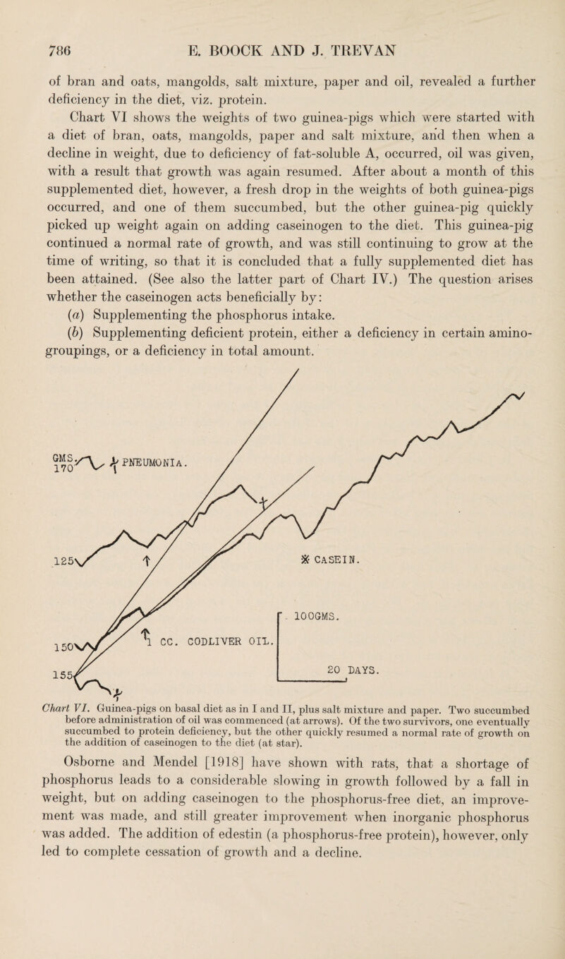 of bran and oats, mangolds, salt mixture, paper and oil, revealed a further deficiency in the diet, viz. protein. Chart VI shows the weights of two guinea-pigs which were started with a diet of bran, oats, mangolds, paper and salt mixture, and then when a decline in weight, due to deficiency of fat-soluble A, occurred, oil was given, with a result that growth was again resumed. After about a month of this supplemented diet, however, a fresh drop in the weights of both guinea-pigs occurred, and one of them succumbed, but the other guinea-pig quickly picked up weight again on adding caseinogen to the diet. This guinea-pig continued a normal rate of growth, and was still continuing to grow at the time of writing, so that it is concluded that a fully supplemented diet has been attained. (See also the latter part of Chart IV.) The question arises whether the caseinogen acts beneficially by: (a) Supplementing the phosphorus intake. (b) Supplementing deficient protein, either a deficiency in certain amino- groupings, or a deficiency in total amount. Osborne and Mendel [1918] have shown with rats, that a shortage of phosphorus leads to a considerable slowing in growth followed by a fall in weight, but on adding caseinogen to the phosphorus-free diet, an improve¬ ment was made, and still greater improvement when inorganic phosphorus was added. The addition of edestin (a phosphorus-free protein), however, only led to complete cessation of growth and a decline.