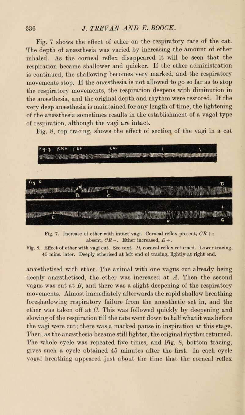 Fig. 7 shows the effect of ether on the respiratory rate of the cat. The depth of anaesthesia was varied by increasing the amount of ether inhaled. As the corneal reflex disappeared it will be seen that the respiration became shallower and quicker. If the ether administration is continued, the shallowing becomes very marked, and the respiratory movements stop. If the anaesthesia is not allowed to go so far as to stop the respiratory movements, the respiration deepens with diminution in the anaesthesia, and the original depth and rhythm were restored. If the very deep anaesthesia is maintained for any length of time, the lightening of the anaesthesia sometimes results in the establishment of a vagal type of respiration, although the vagi are intact. Fig. 8, top tracing, shows the effect of section of the vagi in a cat Fig. 7. Increase of ether with intact vagi. Corneal reflex present, CR + ; absent, CR -. Ether increased, E +. Fig. 8. Effect of ether with vagi cut. See text. D, corneal reflex returned. Lower tracing, 45 mins, later. Deeply etherised at left end of tracing, lightly at right end. anaesthetised with ether. The animal with one vagus cut already being deeply anaesthetised, the ether was increased at A. Then the second vagus was cut at B, and there was a slight deepening of the respiratory movements. Almost immediately afterwards the rapid shallow breathing foreshadowing respiratory failure from the anaesthetic set in, and the ether was taken off at C. This was followed quickly by deepening and slowing of the respiration till the rate went down to half what it was before the vagi were cut; there was a marked pause in inspiration at this stage. Then, as the anaesthesia became still lighter, the original rhythm returned. The whole cycle was repeated five times, and Fig. 8, bottom tracing, gives such a cycle obtained 45 minutes after the first. In each cycle vagal breathing appeared just about the time that the corneal reflex