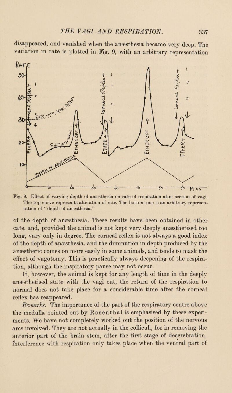 disappeared, and vanished when the anaesthesia became very deep. The variation in rate is plotted in Fig. 9, with an arbitrary representation Fig. 9. Effect of varying depth of anaesthesia on rate of respiration after section of vagi. The top curve represents alteration of rate. The bottom one is an arbitrary represen¬ tation of “depth of anaesthesia.” of the depth of anaesthesia. These results have been obtained in other cats, and, provided the animal is not kept very deeply anaesthetised too long, vary only in degree. The corneal reflex is not always a good index of the depth of anaesthesia, and the diminution in depth produced by the anaesthetic comes on more easily in some animals, and tends to mask the effect of vagotomy. This is practically always deepening of the respira¬ tion, although the inspiratory pause may not occur. If, however, the animal is kept for any length of time in the deeply anaesthetised state with the vagi cut, the return of the respiration to normal does not take place for a considerable time after the corneal reflex has reappeared. Remarks. The importance of the part of the respiratory centre above the medulla pointed out by Rosenthal is emphasised by these experi¬ ments. We have not completely worked out the position of the nervous arcs involved. They are not actually in the colliculi, for in removing the anterior part of the brain stem, after the first stage of decerebration, interference with respiration only takes place when the ventral part of