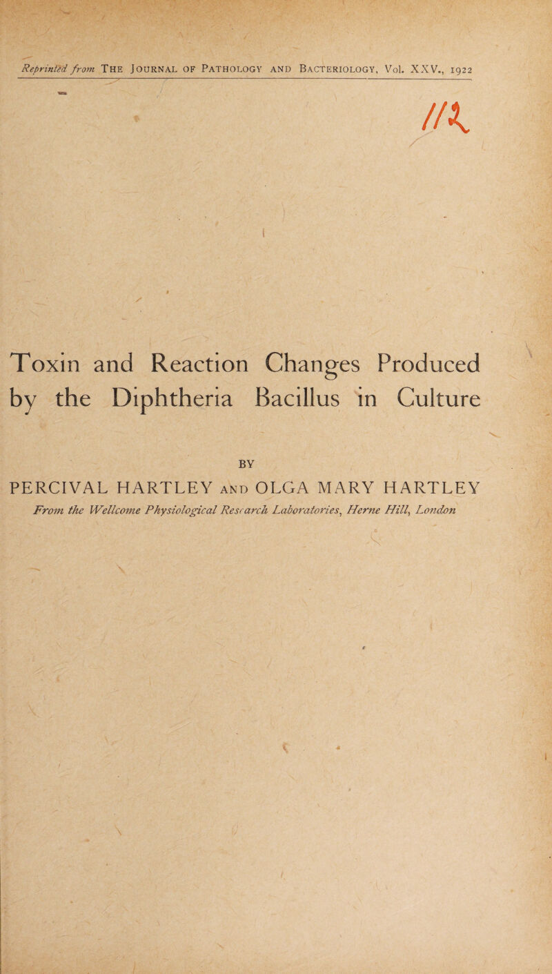 Toxin and Reaction Changes Produced by the Diphtheria Bacillus in Culture BY PERCIVAL HARTLEY and OLGA MARY HARTLEY