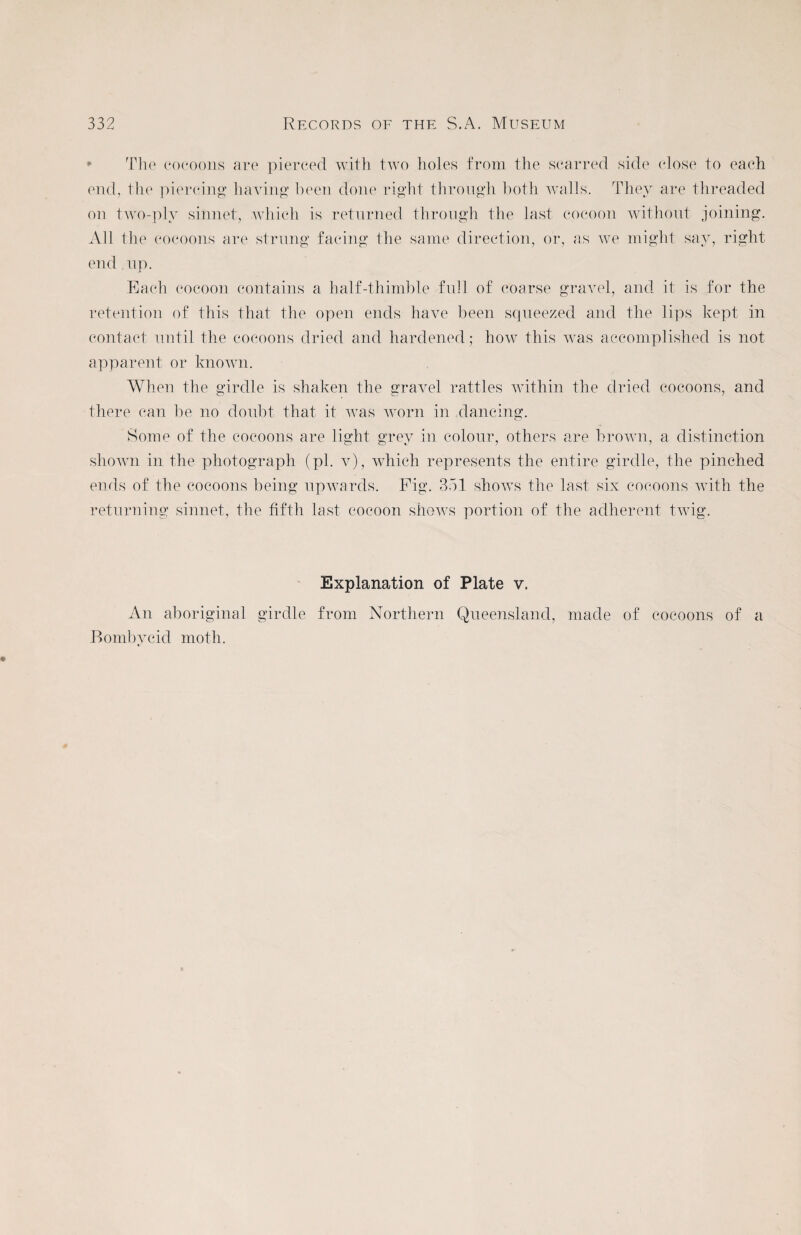 332 Records of the S.A. Museum The cocoons are pierced with two holes from the scarred side close to each end, the piercing having been done right through both walls. They are threaded on two-ply silinet, which is returned through the last cocoon without joining. All the cocoons are strung facing the same direction, or, as we might sav, right end up. Each cocoon contains a half-thimble full of coarse gravel, and it is for the retention of this that the open ends have been squeezed and the lips kept in contact until the cocoons dried and hardened; how this was accomplished is not apparent or known. When the girdle is shaken the gravel rattles within the dried cocoons, and there can be no doubt that it was worn in dancing. Some of the cocoons are light grey in colour, others are brown, a distinction shown in the photograph (pi. v), which represents the entire girdle, the pinched ends of the cocoons being upwards. Fig. 351 shows the last six cocoons with the returning sinnet, the fifth last cocoon shows portion of the adherent twig. Explanation of Plate v. An aboriginal girdle from Northern Queensland, made of cocoons of a Bombycid moth.