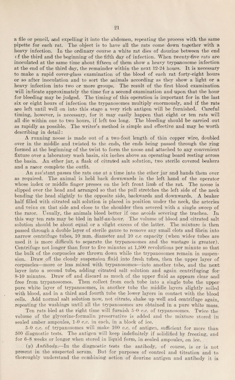 a file or pencil, and expelling it into the abdomen, repeating the process with the same pipette for each rat. The object is to have all the rats come down together with a heavy infection. In the ordinary course a white rat dies of dourine between the end of the third and the beginning of the fifth day of infection. When tlwenty-five rats are inoculated at the same time about fifteen of them show a heavy trypanosome infection at the end of the third day, the remainder within the next 12-24 hours. It is necessary to -make a rapid cover-glass examination of the blood of each rat forty-eight hours or so after inoculation and to sort the animals according as they show a light or a heavy infection into two or more groups. The result of the first blood examination will indicate approximately the time for a second examination and upon that the hour for bleeding may be judged. The 'timing of this operation is important for in the last six or eight hours of infection the trypanosomes multiply enormously, and if the rats are left until well on into this stage a very rich antigen will be furnished. Oareful timing, however, is necessary, for it may easily happen that eight or ten rats will all die within one to two hours, if left too long. The bleeding should be carried out as rapidly as possible. The writer’s method is simple and effective and may be worth describing in detail: A running noose is made out of a two-foot length of thin copper wire, doubled over in the middle and twisted to the ends, the ends being passed through the ting formed at the beginning of the twist to form the noose and attached to any convenient fixture over a laboratory wash basin, six inches above an operating board resting across the basin. An ether jar, a flask of citratled salt solution, two sterile covered beakers and a razor complete the outfit. An assistant passes the rats one at a time into the ether jar and hands them over as required. The animal is held back downwards in the left hand of the operator whose index or middle finger presses on the left front limb of the rat. The noose is slipped over the head and arranged so that the pull stretches the left side of the neck bending the head slightly to the opposite side, backwards and downwards. A beaker half filled with citrated salt solution is placed in position under the neck, the arteries and veins on that side and close to the shoulder then severed with a single sweep of the razor. Usually, the animals bleed better if one avoids severing the trachea. In this way ten rats may be bled in half-an-hour. The volume of blood and citrated salt solution should be about equal or a slight excess of the latter. The mixture is then passed through a double layer of sterile gauze to remove any small clots and fibrin into narrow centrifuge tubes, 10 mm. diameter and 10 c.c capacity (when wider tubes are used it is more difficult to separate the trypanosomes and the wastage is greater). Centrifuge not longer than four to five minutes at 1,500 revolutions per minute so that the bulk of the corpuscles are thrown down while the trypanosomes remain in suspen¬ sion. Draw off the cloudy suspension fluid into fresh tubes, then the upper layer of corpuscles—more or less mixed with trypanosomes—into another tube, and the next layer into a second tube), adding citrated salt solution and again centrifuging for- 8-10 minutes. Draw off and discard as much of the upper fluid as appears clear and! free from trypanosomes. Then collect from each tube into a single tube the upper pure white layer of trypanosomes, in another tube the middle layers slightly soiled with blood, and in a third and fourth tube the lower layers in contact with the blood cells. Add normal salt solution now, not citrate, shake up well and centrifuge again, repeating the washings until all the trypanosomes are obtained in a pure white mass. Ten rats bled at the right time will furnish 5-0 c.c. of trypanosomes. Twice the volume of the glycerine-formalin preservative is added and the mixture stored in sealed amber ampoules, 1-0 c.c. in each, in a block of ice. 5-0 c.c. of trypanosomes will make 100 c.c. of antigen, sufficient for more than 500 diagnostic tests. The antigen will keep indefinitely if solidified by freezing, and for 6-8 weeks or longer when stored in liquid form, in sealed ampoules, on ice. (y) Antibody.—In the diagnostic tests the antibody, of course, is or is not present in the suspected serum. But for purposes of control and titration and to thoroughly understand the combining action of dourine antigen and antibody it is
