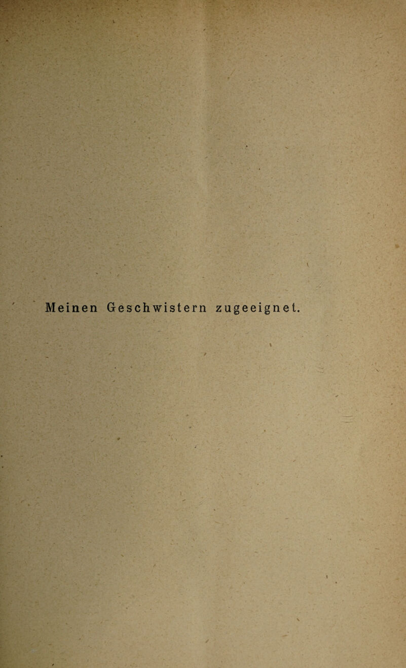 Meinen Geschwistern zugeeignet.