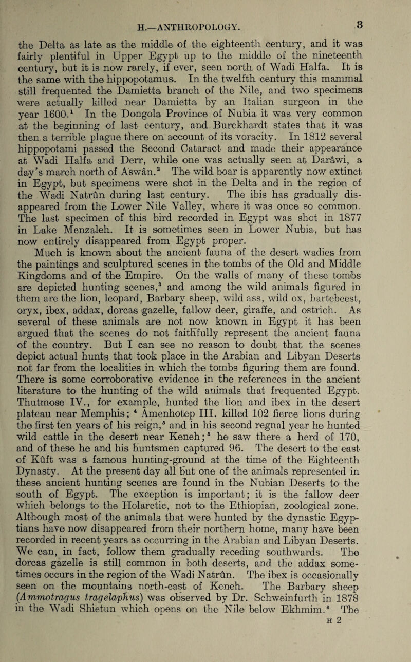 the Delta as late as the middle of the eighteenth century, and it was fairly plentiful in Upper Egypt up to the middle of the nineteenth century , but it is now rarely, if ever, seen north of Wadi Haifa. It is the same with the hippopotamus. In the twelfth century this mammal still frequented the Damietta branch of the Nile, and two specimens were actually killed near Damietta by an Italian surgeon in the year 1600.^ In the Dongola Province of Nubia it was very common at the beginning of last century, and Burckhardt states that it was then a terrible plague there on account of its voracity. In 1812 several hippopotami passed the Second Cataract and made their appearance at Wadi Haifa and Derr, while one was actually seen at Darawi, a day’s march north of Aswan.^ The wild boar is apparently now extinct in Egypt, but specimens were shot in the Delta and in the region of the Wadi Natrun dmang last century. The ibis has gradually dis¬ appeared from the Lower Nile Valley, where it was once so common. The last specimen of this bird recorded in Egypt was shot in 1877 in Lake Menzaleh. It is sometimes seen in Lower Nubia, but has now entirely disappeared from Egypt proper. Much is known about the ancient fauna of the desert wadies from the paintings and sculptured scenes in the tombs of the Old and Middle Kingdoms and of the Empire. On the walls of many of these tombs are depicted hunting scenes,® and among the wild animals figured in them are the lion, leopard. Barbary sheep, wild ass, wild ox, hartebeest, oryx, ibex, addax, dorcas gazelle, fallow deer, giraffe, and ostrich. As several of these animals are not now known in Egypt it has been argued that the scenes do not faithfully represent the ancient fauna of the country. But I can see no reason to doubt that the scenes depict actual hunts that took place in the Arabian and Libyan Deserts not far from the localities in which the tombs figuring them are found. Tliere is some corroborative evidence in the references in the ancient literature to the hunting of the wild animals that frequented Egypt. Thutmose IV., for example, hunted the lion and ibex in the desert plateau near Memphis; ^ Amenhotep III. killed 102 fierce lions during the first ten years of his reign,® and in his second regnal year he hunted wild cattle in the desert near Keneh; ® he saw there a herd of 170, and of these he and his Huntsmen captured 96. The desert to the east of Kuft was a famous hunting-ground at the time of the Eighteenth Dynasty. At the present day all but one of the animals represented in these ancient hunting scenes are found in the Nubian Deserts to the south of Egypt. The exception is important; it is the fallow deer which belongs to the Holarctic, not to the Ethiopian, zoological zone. Although most of the animals that were hunted by the dynastic Egyp¬ tians have now disappeared from their northern home, many have been recorded in recent years as occurring in the Arabian and Libyan Deserts. We can, in fact, follow them gradually receding southwards. The dorcas gazelle is still common in both deserts, and the addax some¬ times occurs in the region of the Wadi Natrdn. The ibex is occasionally seen on the mountains north-east of Keneh. The Barbary sheep (Ammotragus tragelapfius) was observed by Dr. Schweinfurth in 1878 in the Wadi Shietun which opens on the Nile below Ekhmim.® The