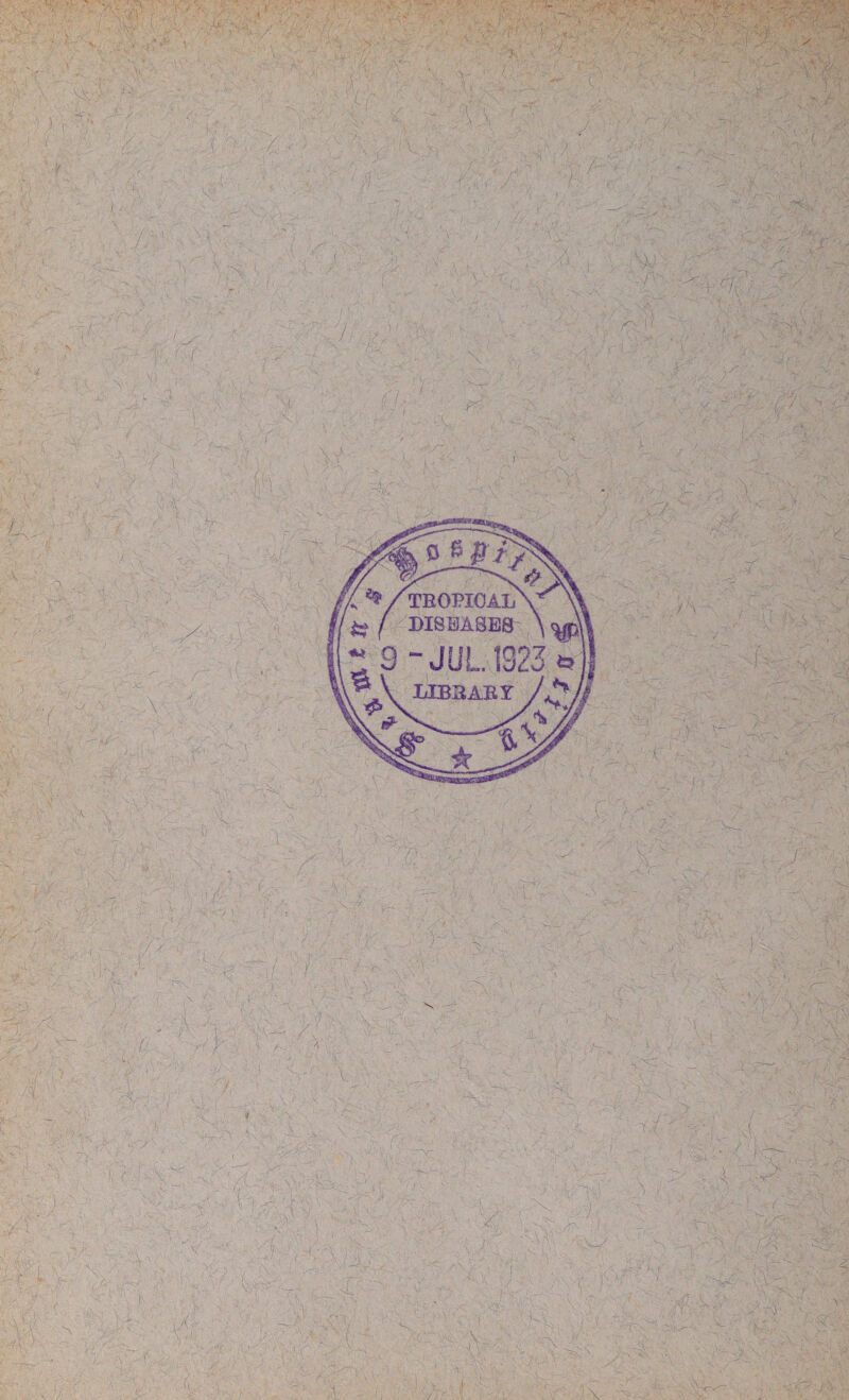 tvi ' ■3vV,, > • *\J\. -.A. .v * vy • - >< ■ -'■ > A A.; ; \ ' 5. ' Ai (V 1 V» 1 If a?1 ~/:y\!V} •- A AA:'A •A *. *  |y S /• ••» fe* y V 0 N ' '4aa 7 A/ If 8 •A '// fc. A viy fj f * ' . /• r t > >• AAy ./■I: -\v Ayi -,v A' 'A. i 'AA. f A> v •■■■ h . : A \ a.a ::Al: :jw. \ \ 1 / I I V, ■ 4, AA, - A. ^ • V . A 'A N ;A ■ J-'s :r4il4 >.:' /' A - A A * ■ 1 9 , V x v .~V t.:T. v; 7 ' d: •aA :,:x <A A\ ' Aj - . sV A , k\ j wv A', . r> A-:' A/ ;yy, \ =«r % -9 A SA .•■ j ' ■ (A/., i * ' a\ A ■ 1 \ '■ A A A syi j AA: AA A \ A • •>■ 7p/? A ' \ A , ; • i A A / ■ • V ■ A jA ;■ AAa AA k , ' 'A. ' 1 /'A : : !> .V . A At A • • 'A '---A : A ( r ■ / -* ' aa ^ f ■ ” a ; ’ - v . ■ A A . ■ ( ' ' A-,;: ' v t'- i / ;,V ,■ . ■ .A ; •, ,Ti k •: fi A ■ i r-4 A y \ / : A