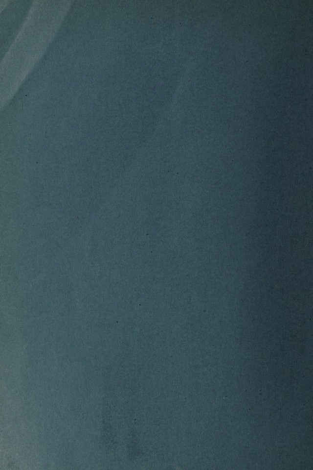 digitised image 2