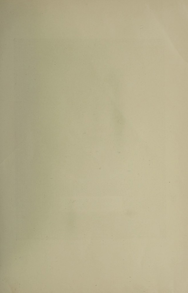 digitised image 3