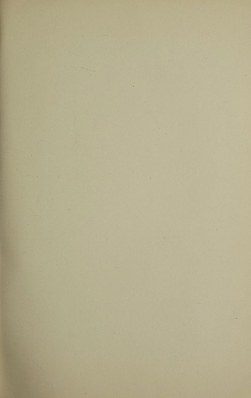 1 > n liriff'niiTTii't'iBBftfff ii » > r