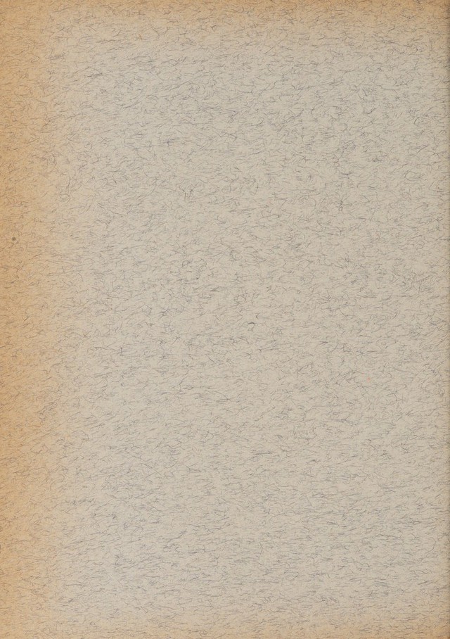 digitised image 2