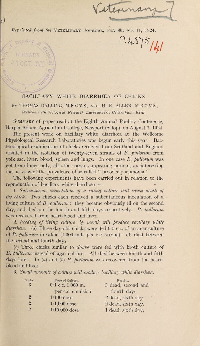 BACILLARY WHITE DIARRHCEA OF CHICKS. By THOMAS DALLING, M.R.C.V.S., and H. R. ALLEN, M.R.C.V.S., Wellcome Physiological Research Laboratories, Beckenham, Kent. Summary of paper read at the Eighth Annual Poultry Conference, Harper-Adams Agricultural College, Newport (Salop), on August 7, 1924. The present work on bacillary white diarrhoea at the Wellcome Physiological Research Laboratories was begun early this year. Bac¬ teriological examination of chicks received from Scotland and England resulted in the isolation of twenty-seven strains of B. pullorum from yolk sac, liver, blood, spleen and lungs. In one case B. pullorum was got from lungs only, all other organs appearing normal, an interesting fact in view of the prevalence of so-called “ brooder pneumonia/' The following experiments have been carried out in relation to the reproduction of bacillary white diarrhoea :— 1. Subcutaneous inoculation of a living culture will cause death of the chick. Two chicks each received a subcutaneous inoculation of a living culture of B. pullorum : they became obviously ill on the second day, and died on the fourth and fifth days respectively. B. pullorum was recovered from heart-blood and liver. 2. Feeding of living culture by mouth will produce bacillary white diarrhoea., (a) Three day-old chicks were fed 05 c.c. of an agar culture of B. pullorum in saline (1,000 mill, per c.c. strong) : all died between the second and fourth days. (b) Three chicks similar to above were fed with broth culture of B. pullorum instead of agar culture. All died between fourth and fifth days later. In (a) and (b) B. pullorum was recovered from the heart- blood and liver. 3. Small amounts of culture will produce bacillary white diarrhoea. Chicks. Dose of Culture. 3 0-1 c.c. 1,000 m. per c.c. emulsion 2 1/100 dose 2 1/1,000 dose 2 1/10,000 dose Results. 3 dead, second and fourth days 2 dead, sixth day. 2 dead, sixth day. 1 dead, sixth day.