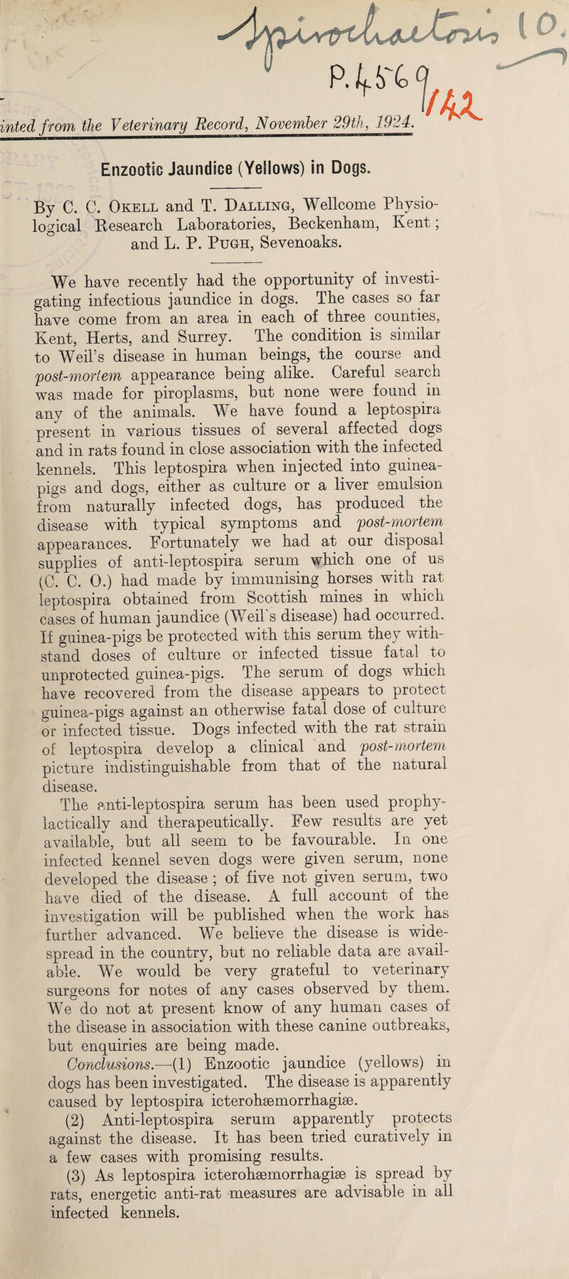 * p. 4 <? L inted from the Veterinary Record, November 29th, 1924. Enzootic Jaundice (Yellows) in Dogs. AM. By C. C. Okell and T. Balling, Wellcome Physio¬ logical Research Laboratories, Beckenham, Kent; and L. P. Pugh, Sevenoaks. We have recently had the opportunity of investi¬ gating infections jaundice in dogs. The cases so far have come from an area in each of three counties, Kent, Herts, and Surrey. The condition is similar to Weil’s disease in human beings, the course and post-mortem appearance being alike. Careful search was made for piroplasms, but none were found in any of the animals. We have found a leptospira present in various tissues of several affected dogs and in rats found in close association with the infected kennels. This leptospira when injected into guinea- pigs and dogs, either as culture or a liver emulsion from naturally infected dogs, has produced the disease with typical symptoms and post-mortem appearances. Fortunately we had at our disposal supplies of anti-leptospira serum which one of us (C. C. 0.) had made by immunising horses with rat leptospira obtained from Scottish mines in which cases of human jaundice (Weil's disease) had occurred. If guinea-pigs be protected with this serum they with¬ stand doses of culture or infected tissue fatal to unprotected guinea-pigs. The serum of dogs which have recovered from the disease appears to protect guinea-pigs against an otherwise fatal dose of culture or infected tissue. Hogs infected with the rat strain of leptospira develop a clinical and post-mortem picture indistinguishable from that of the natural disease. The anti-leptospira serum has been used prophy- lactically and therapeutically. Few results are yet available, but all seem to be favourable. In one infected kennel seven dogs were given serum, none developed the disease ; of five not given serum, two have died of the disease. A full account of the investigation will be published when the work has further advanced. We believe the disease is wide¬ spread in the country, but no reliable data are avail¬ able. We would be very grateful to veterinary surgeons for notes of any cases observed by them. We do not at present know of any human cases of the disease in association with these canine outbreaks, but enquiries are being made. Conclusions.—(1) Enzootic jaundice (yellows) in dogs has been investigated. The disease is apparently caused by leptospira icterohsemorrhagise. (2) Anti-leptospira serum apparently protects against the disease. It has been tried curatively in a few cases with promising results. (3) As leptospira icterohsemorrhagise is spread by rats, energetic anti-rat measures are advisable in all infected kennels.