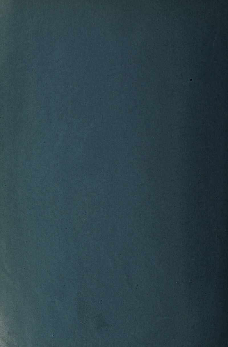 # X % Vi { p i ' sf . \ • #}* 4» 4