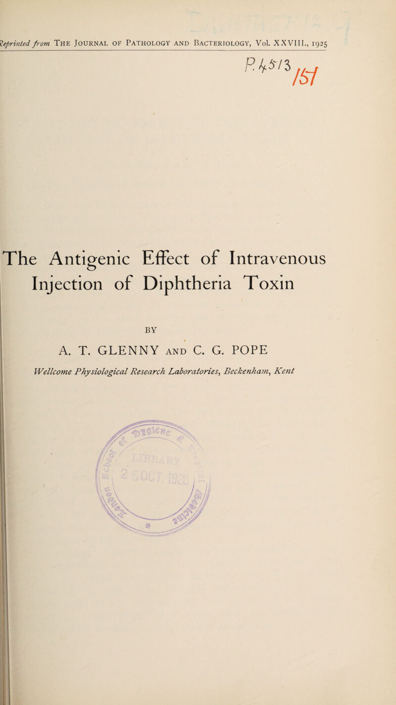 Reprinted from The Journal of Pathology and Bacteriology, Vol. XXVIII., 1925 The Antigenic Effect of Intravenous Injection of Diphtheria Toxin BY A. T. GLENNY and C. G. POPE Wellcome Physiological Research Laboratories, Beckenham, Kent