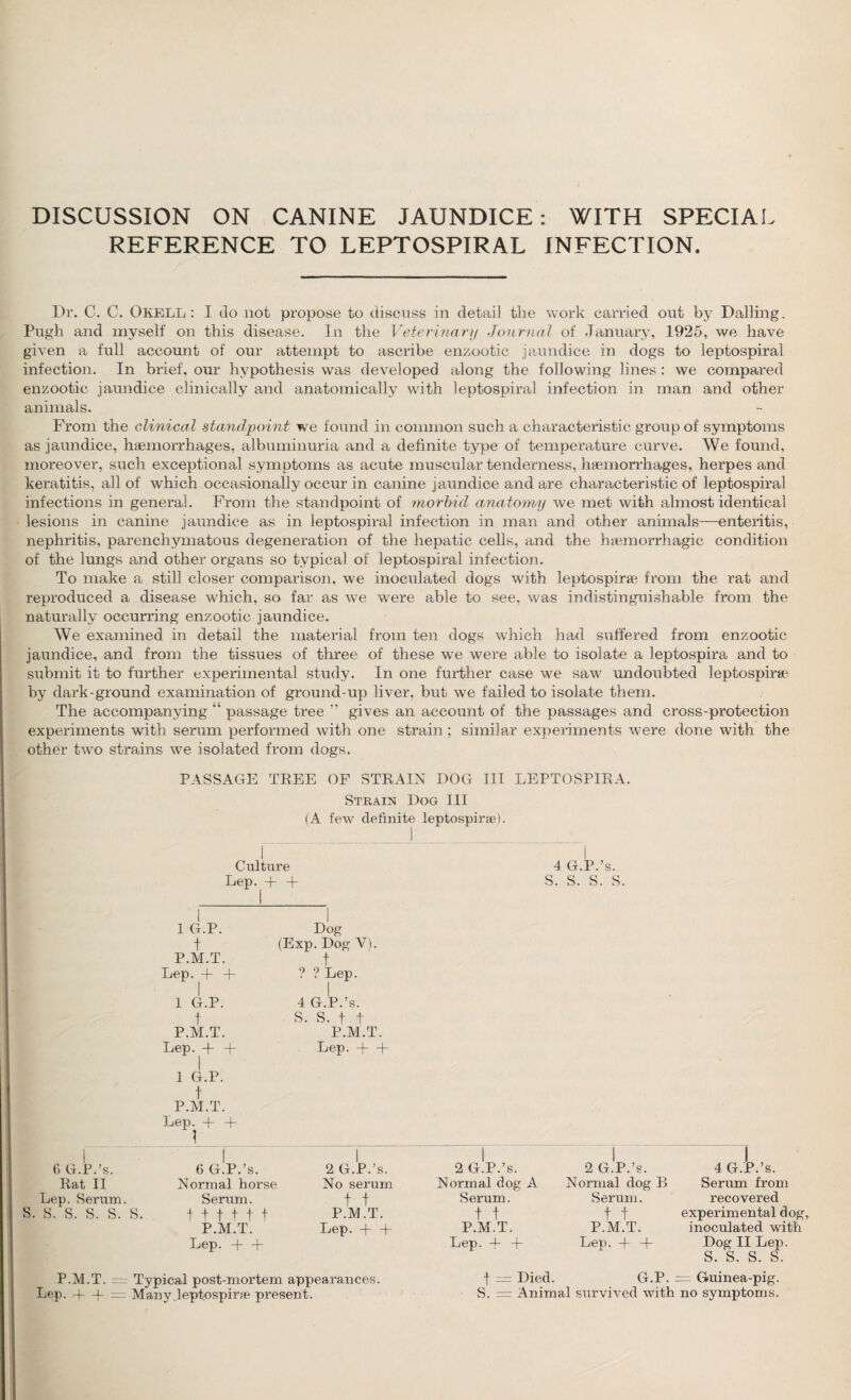 DISCUSSION ON CANINE JAUNDICE: WITH SPECIAI REFERENCE TO LEPTOSPIRAL INFECTION. Dr. C. C. Okell : I do not propose to discuss in detail the work carried out by Dalling. Pugh and myself on this disease. In the Veterinary Journal of January, 1925, we have given a full account of our attempt to ascribe enzootic jaundice in dogs to leptospiral infection. In brief, our hypothesis was developed along the following lines : we compared enzootic jaundice clinically and anatomically with leptospiral infection in man and other animals. From the clinical standpoint we found in common such a characteristic group of symptoms as jaundice, haemorrhages, albuminuria and a definite type of temperature curve. We found, moreover, such exceptional symptoms as acute muscular tenderness, haemorrhages, herpes and keratitis, all of which occasionally occur in canine jaundice and are characteristic of leptospiral infections in general. From the standpoint of 'morbid anatomy we met with almost identical lesions in canine jaundice as in leptospiral infection in man and other animals—enteritis, nephritis, parenchymatous degeneration of the hepatic cells, and the haemorrhagic condition of the lungs and other organs so typical of leptospiral infection. To make a still closer comparison, we inoculated dogs with leptospirae from the rat and reproduced a disease which, so far as we were able to see, was indistinguishable from the naturally occurring enzootic jaundice. We examined in detail the material from ten dogs which had suffered from enzootic jaundice, and from the tissues of three of these we were able to isolate a leptospira and to submit it to further experimental study. In one further case we saw undoubted leptospira by dark-ground examination of ground-up liver, but we failed to isolate them. The accompanying  passage tree ” gives an account of the passages and cross-protection experiments with serum performed with one strain ; similar experiments were done with the other two strains we isolated from dogs. PASSAGE TREE OF STRAIN DOG III LEPTOSPIRA. I 6 G.P.’s. Rat II Lep. Serum. S. S. S. S. S. S. Strain Dog III (A few definite leptospirse). Culture Lep.^ + + ! 1 G.P. Dog t (Exp. Dog V). P.M.T. t Lep. + + ? ? Lep. | 1 G.P. 4 G.P.’s. t S. S. f t P.M.T. P.M.T. Lep. + + Lep. + + 1 G.P. t P.M.T. Lep. + + . 1 6 G.P.’s. 2 G.P.’s. Normal horse No serum Serum. t t t t t t t t P.M.T. P.M.T. Lep. + + Lep. + + I 2 G.P.’s. Normal dog A Serum. t t P.M.T. Lep. + + I 4 G.P.’s. s. s. s. s. I 2 G.P.’s. Normal dog B Serum. t t P.M.T. Lep. + + I 4 G.P.’s. Serum from recovered experimental dog, inoculated with Dog II Lep. s. s. s. s. P.M.T. = Typical post-mortem appearances. Lep. 4- + = Many ..leptospirae present. f “ Died. G.P. = Guinea-pig. S. = Animal survived with no symptoms.