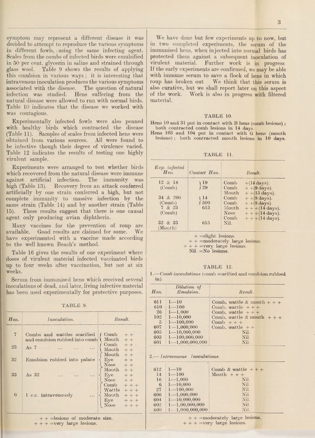 digitised image 3