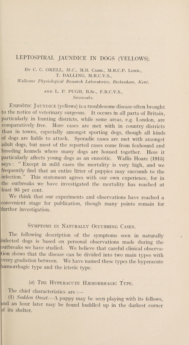 digitised image 3