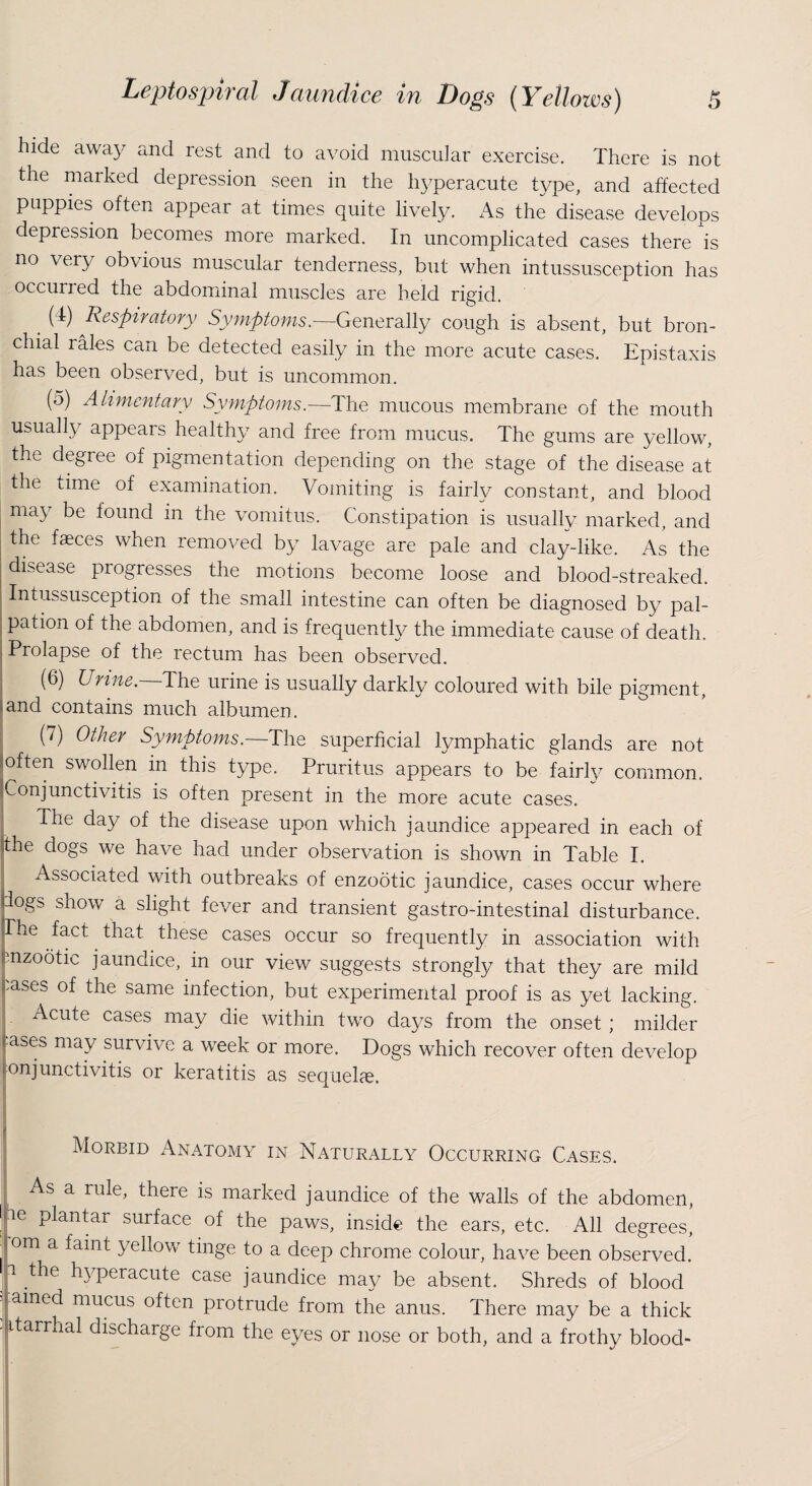 hide away and rest and to avoid muscular exercise. There is not the marked depression seen in the hyperacute type, and affected puppies often appear at times quite lively. As the disease develops depression becomes more marked. In uncomplicated cases there is no very obvious muscular tenderness, but when intussusception has occurred the abdominal muscles are held rigid. (4) Respiratory Symptoms.—-Generally/ cough is absent, but bron¬ chial rales can be detected easily in the more acute cases. Epistaxis has been observed, but is uncommon. (5) Alimentary Symptoms.—The mucous membrane of the mouth usually appears healthy and free from mucus. The gums are yellow, the degree of pigmentation depending on the stage of the disease at the time of examination. Vomiting is fairly constant, and blood may be found in the vomitus. Constipation is usually marked, and the faeces when removed by lavage are pale and clay-like. As the disease progresses the motions become loose and blood-streaked. Intussusception of the small intestine can often be diagnosed by pal¬ pation of the abdomen, and is frequently the immediate cause of death. Prolapse of the rectum has been observed. (6) Urine. The urine is usually darkly coloured with bile pigment, and contains much albumen. (7) Other Symptoms.—The superficial lymphatic glands are not often swollen in this type. Pruritus appears to be fairly common. Conjunctivitis is often present in the more acute cases. The day of the disease upon which jaundice appeared in each of the dogs we have had under observation is shown in Table I. Associated with outbreaks of enzootic jaundice, cases occur where dogs show a slight fever and transient gastro-intestinal disturbance. The fact. that these cases occur so frequently in association with jnzootic jaundice, in our view suggests strongly that they are mild bases of the same infection, but experimental proof is as yet lacking. Acute cases may die within two days from the onset ; milder ases may survive a week or more. Dogs which recover often develop onjunctivitis or keratitis as sequel®. | Morbid Anatomy in Naturally Occurring Cases. As a rule, there is marked jaundice of the walls of the abdomen, |pe plantar surface of the paws, inside the ears, etc. All degrees, .Pm a ^amt yellow tinge to a deep chrome colour, have been observed, f hyperacute case jaundice may be absent. Shreds of blood f ained mucus often protrude from the anus. There may be a thick - itarnial discharge from the eyes or nose or both, and a frothy blood-