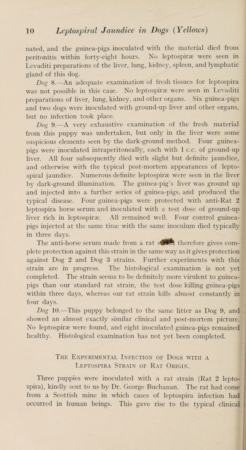 nated, and the guinea-pigs inoculated with the material died from peritonitis within forty-eight hours. No leptospirae were seen in Levaditi preparations of the liver, lung, kidney, spleen, and lymphatic gland of this dog. Dog 8.—An adequate examination of fresh tissues for leptospira was not possible in this case. No leptospirae were seen in Levaditi preparations of liver, lung, kidney, and other organs. Six guinea-pigs and two dogs were inoculated with ground-up liver and other organs, but no infection took place. Dog 9.—A very exhaustive examination of the fresh material from this puppy was undertaken, but only in the liver were some suspicious elements seen by the dark-ground method. Four guinea- pigs were inoculated intraperitonealfy, each with 1 c.c. of ground-up liver. All four subsequently died with slight but definite jaundice, and otherwise with the typical post-mortem appearances of lepto¬ spiral jaundice. Numerous definite leptospirae were seen in the liver by dark-ground illumination. The guinea-pig’s liver was ground up and injected into a further series of guinea-pigs, and produced the typical disease. Four guinea-pigs were protected with anti-Rat 2 leptospira horse serum and inoculated with a test dose of ground-up liver rich in leptospirae. All remained well. Four control guinea- pigs injected at the same time with the same inoculum died typically in three da vs. The anti-horse serum made from a rat spUm therefore gives com¬ plete protection against this strain in the same way as it gives protection against Dog 2 and Dog 3 strains. Further experiments with this strain are in progress. The histological examination is not yet completed. The strain seems to be definitely more virulent to guinea- pigs than our standard rat strain, the test dose killing guinea-pigs within three days, whereas our rat strain kills almost constantly in four days. Dog 10.—This puppy belonged to the same litter as Dog 9, and showed an almost exactly similar clinical and post-mortem picture. No leptospirae were found, and eight inoculated guinea-pigs remained healthy. Histological examination has not yet been completed. The Experimental Ineection of Dogs with a Leptospira Strain of Rat Origin. Three puppies were inoculated with a rat strain (Rat 2 lepto¬ spira), kindly sent to us by Dr. George Buchanan. The rat had come from a Scottish mine in which cases of leptospira infection had occurred in human beings. This gave rise to the typical clinical