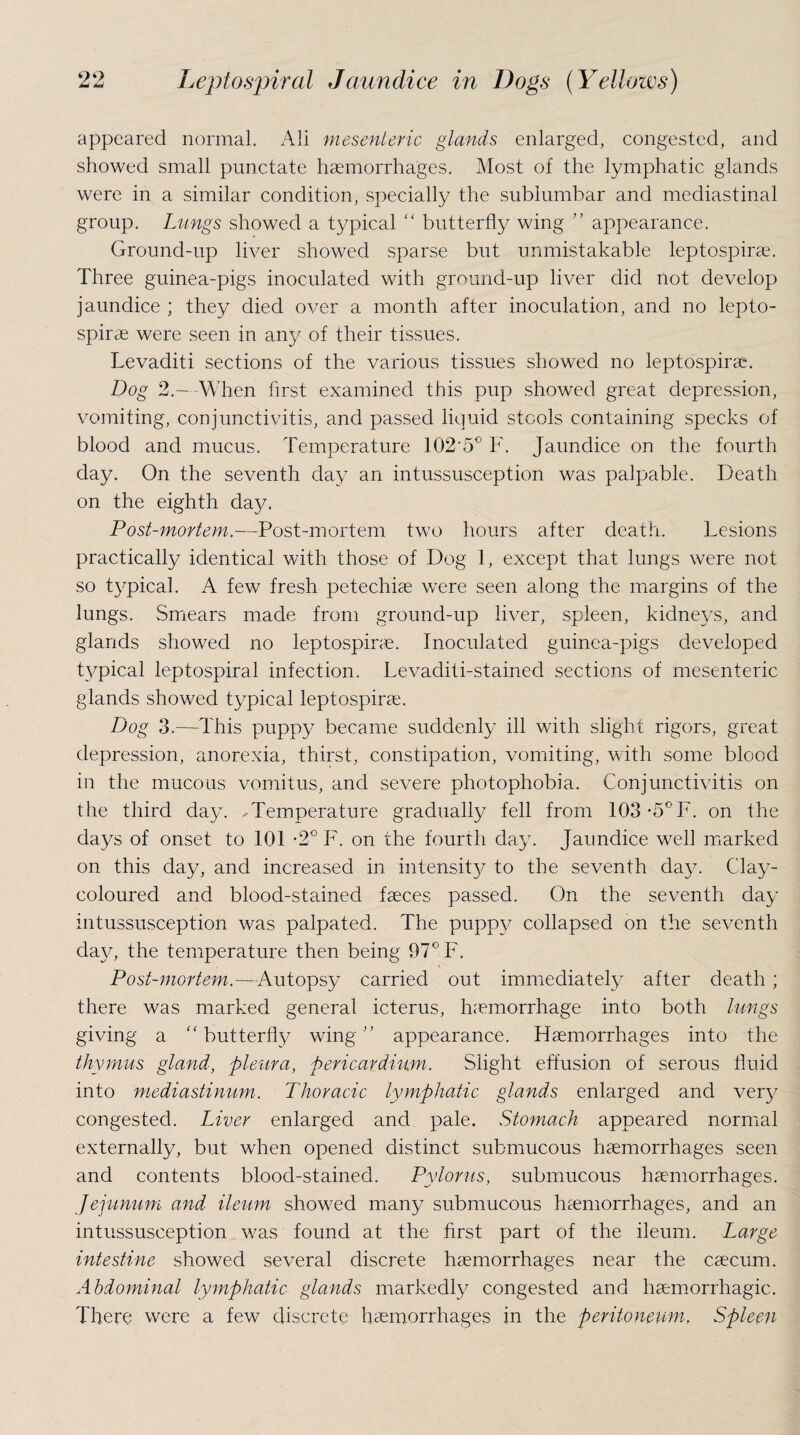 appeared normal. All mesenteric glands enlarged, congested, and showed small punctate haemorrhages. Most of the lymphatic glands were in a similar condition, specially the sublumbar and mediastinal group. Lungs showed a typical “ butterfly wing ” appearance. Ground-up liver showed sparse but unmistakable leptospirae. Three guinea-pigs inoculated with ground-up liver did not develop jaundice ; they died over a month after inoculation, and no lepto¬ spirae were seen in any of their tissues. Levaditi sections of the various tissues showed no leptospirae. Dog 2.— When first examined this pup showed great depression, vomiting, conjunctivitis, and passed liquid stools containing specks of blood and mucus. Temperature 102-5° F. Jaundice on the fourth day. On the seventh day an intussusception was palpable. Death on the eighth day. Post-mortem.—Post-mortem two hours after death. Lesions practically identical with those of Dog 1, except that lungs were not so typical. A few fresh petechiae were seen along the margins of the lungs. Smears made from ground-up liver, spleen, kidneys, and glands showed no leptospirae. Inoculated guinea-pigs developed typical leptospirai infection. Levaditi-stained sections of mesenteric glands showed typical leptospirae. Dog 3.—This puppy became suddenly ill with slight rigors, great depression, anorexia, thirst, constipation, vomiting, with some blood in the mucous vomitus, and severe photophobia. Conjunctivitis on the third day. .Temperature gradually fell from 103 *5°F. on the days of onset to 101 -2° F. on the fourth day. Jaundice well marked on this day, and increased in intensity to the seventh day. Clay- coloured and blood-stained faeces passed. On the seventh day- intussusception was palpated. The puppy collapsed on the seventh day, the temperature then being 97° F. Post-mortem.—Autopsy carried out immediately after death ; there was marked general icterus, haemorrhage into both lungs giving a “ butterfly wing ” appearance. Haemorrhages into the thymus gland, pleura, pericardium. Slight effusion of serous fluid into mediastinum. Thoracic lymphatic glands enlarged and very congested. Liver enlarged and pale. Stomach appeared normal externally, but when opened distinct submucous haemorrhages seen and contents blood-stained. Pylorus, submucous haemorrhages. jejunum and ileum showed many submucous haemorrhages, and an intussusception was found at the first part of the ileum. Large intestine showed several discrete haemorrhages near the caecum. Abdominal lymphatic glands markedly congested and haemorrhagic. There were a few discrete haemorrhages in the peritoneum, Spleen