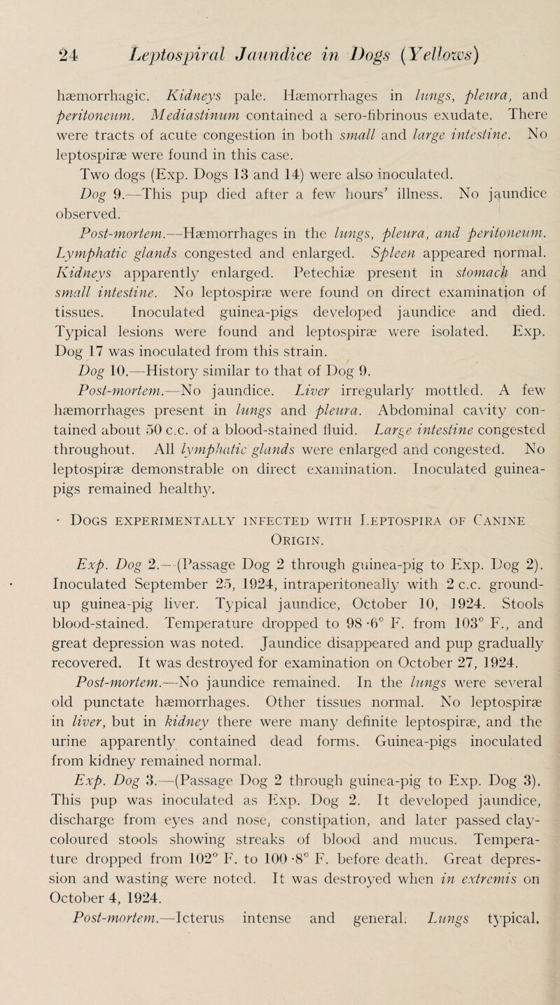 haemorrhagic. Kidneys pale. Haemorrhages in lungs, pleura, and peritoneum. Mediastinum contained a sero-hbrinous exudate. There were tracts of acute congestion in both small and large intestine. No leptospirae were found in this case. Two dogs (Exp. Dogs 13 and 14) were also inoculated. Dog 9.—This pup died after a few hours’ illness. No jaundice observed. Post-mortem.—Haemorrhages in the lungs, pleura, and peritoneum. Lymphatic glands congested and enlarged. Spleen appeared normal. Kidneys apparently enlarged. Petechiae present in stomach and small intestine. No leptospirae were found on direct examination of tissues. Inoculated guinea-pigs developed jaundice and died. Typical lesions were found and leptospirae were isolated. Exp. Dog 17 was inoculated from this strain. Dog 10.—History similar to that of Dog 9. Post-mortem.—No jaundice. Liver irregularly mottled. A few haemorrhages present in lungs and pleura. Abdominal cavity con¬ tained about 50 c.c. of a blood-stained fluid. Large intestine congested throughout. All lymphatic glands were enlarged and congested. No leptospirae demonstrable on direct examination. Inoculated guinea- pigs remained healthy. * Dogs experimentally infected with Leptospira of Canine Origin. Exp. Dog 2.— (Passage Dog 2 through guinea-pig to Exp. Dog 2). Inoculated September 25, 1924, intraperitonea]ly with 2 c.c. ground¬ up guinea-pig liver. Typical jaundice, October 10, 1924. Stools blood-stained. Temperature dropped to 98 -6° F. from 103° F., and great depression was noted. Jaundice disappeared and pup gradually recovered. It was destroyed for examination on October 27, 1924. Post-mortem.—No jaundice remained. In the lungs were several old punctate haemorrhages. Other tissues normal. No leptospirae in liver, but in kidney there were many definite leptospirae, and the urine apparently contained dead forms. Guinea-pigs inoculated from kidney remained normal. Exp. Dog 3.—(Passage Dog 2 through guinea-pig to Exp. Dog 3). This pup was inoculated as Exp. Dog 2. It developed jaundice, discharge from eyes and nose, constipation, and later passed clay- coloured stools showing streaks of blood and mucus. Tempera¬ ture dropped from 102° F. to 100 -8° F. before death. Great depres¬ sion and wasting were noted. It was destroyed when in extremis on October 4, 1924. Post-mortem.—Icterus intense and general. Lungs t5Tpical.