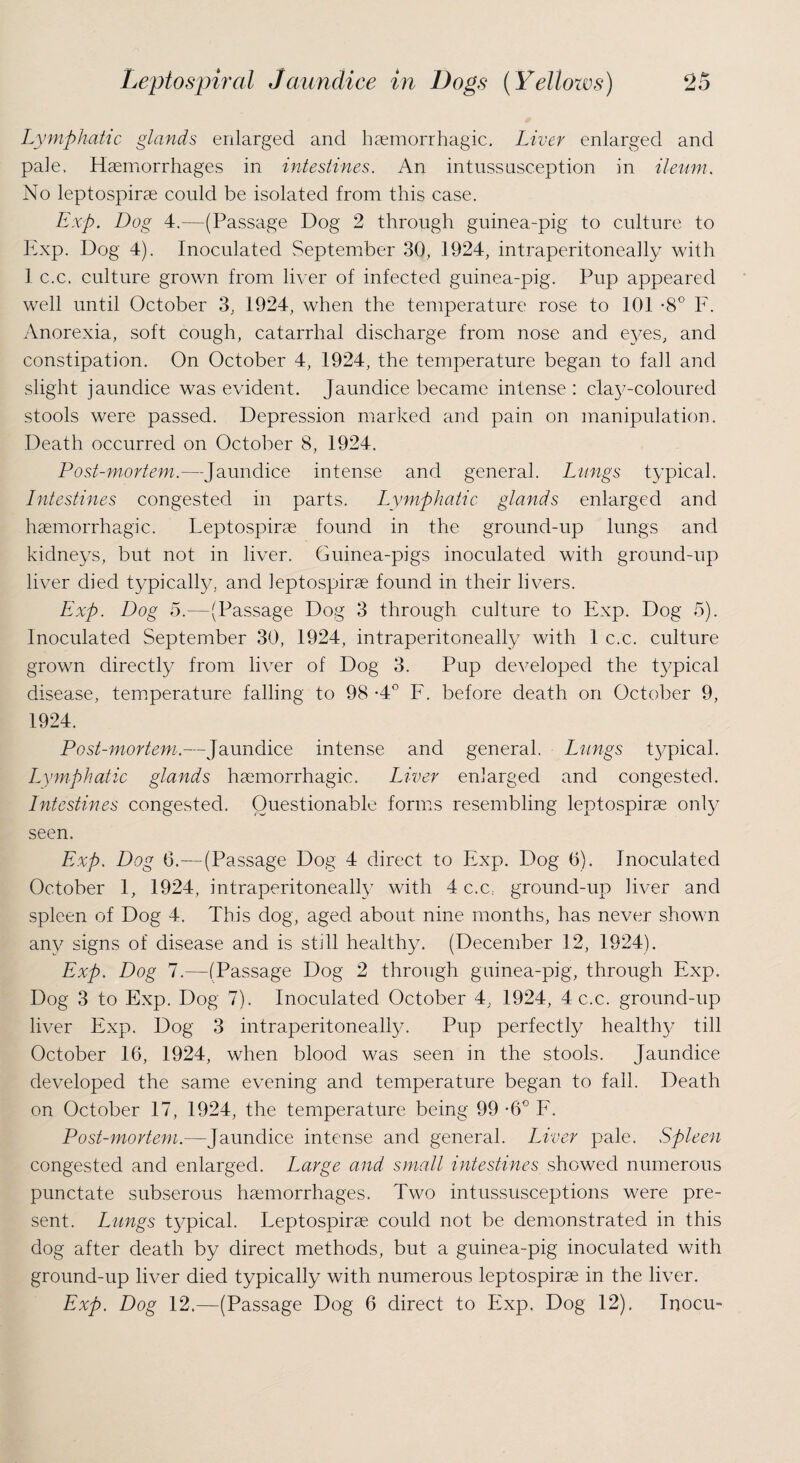 Lymphatic glands enlarged and haemorrhagic. Liver enlarged and pale. Haemorrhages in intestines. An intussusception in ileum. No leptospirae could be isolated from this case. Exp. Dog 4.—(Passage Dog 2 through guinea-pig to culture to Exp. Dog 4). Inoculated September 30, 1924, intraperitoneally with 1 c.c, culture grown from liver of infected guinea-pig. Pup appeared well until October 3, 1924, when the temperature rose to 101 -8° F. Anorexia, soft cough, catarrhal discharge from nose and eyes, and constipation. On October 4, 1924, the temperature began to fall and slight jaundice was evident. Jaundice became intense : clay-coloured stools were passed. Depression marked and pain on manipulation. Death occurred on October 8, 1924. Post-mortem.—Jaundice intense and general. Lungs typical. Intestines congested in parts. Lymphatic glands enlarged and haemorrhagic. Leptospirae found in the ground-up lungs and kidneys, but not in liver. Guinea-pigs inoculated with ground-up liver died typically, and leptospirae found in their livers. Exp. Dog 5.—(Passage Dog 3 through culture to Exp. Dog 5). Inoculated September 30, 1924, intraperitoneally with 1 c.c. culture grown directly from liver of Dog 3. Pup developed the typical disease, temperature falling to 98 -4° F. before death on October 9, 1924. Post-mortem.—Jaundice intense and general. Lungs typical. Lymphatic glands haemorrhagic. Liver enlarged and congested. Intestines congested. Questionable forms resembling leptospirae only seen. Exp. Dog 6.—(Passage Dog 4 direct to Exp. Dog 6). Inoculated October 1, 1924, intraperitoneally with 4 c.c, ground-up liver and spleen of Dog 4. This dog, aged about nine months, has never shown any signs of disease and is still healthy. (December 12, 1924). Exp. Dog 7.—(Passage Dog 2 through guinea-pig, through Exp. Dog 3 to Exp. Dog 7). Inoculated October 4, 1924, 4 c.c. ground-up liver Exp. Dog 3 intraperitoneally. Pup perfectly healthy till October 16, 1924, when blood was seen in the stools. Jaundice developed the same evening and temperature began to fall. Death on October 17, 1924, the temperature being 99 -6° F. Post-mortem.—Jaundice intense and general. Liver pale. Spleen congested and enlarged. Large and small intestines showed numerous punctate subserous haemorrhages. Two intussusceptions were pre¬ sent. Lungs typical. Leptospirae could not be demonstrated in this dog after death by direct methods, but a guinea-pig inoculated with ground-up liver died typically with numerous leptospirae in the liver. Exp. Dog 12.—(Passage Dog 6 direct to Exp. Dog 12). Inocu-