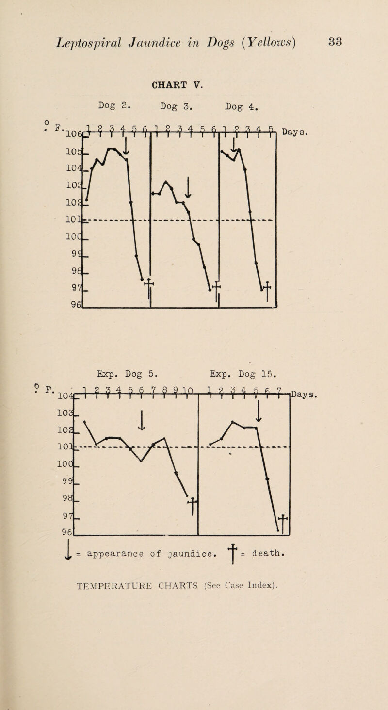 CHART V. Dog 2. Dog 3. Dog 4. Exp. Dog 5. Exp. Dog 15. = appearance of jaundice • t = death. TEMPERATURE CHARTS (See Case Index).