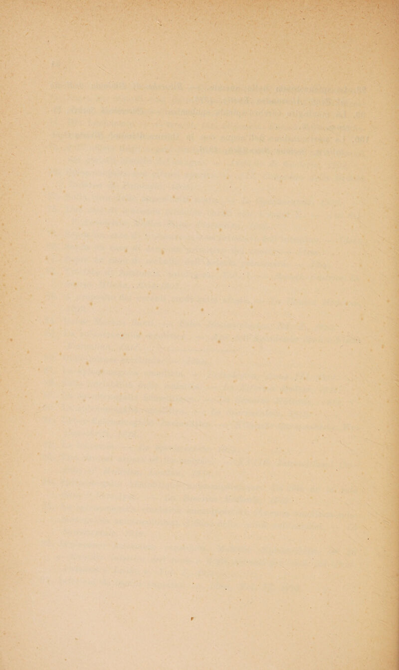 - ' ...... - ' • N ■ ' K ■ ' X . 1 ’ ■ a ■ * -v r «