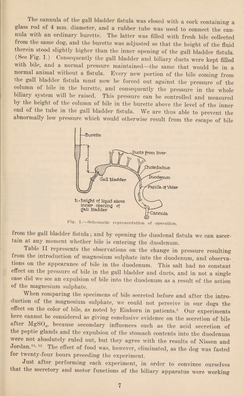 ilie cannula of tlie gall bladder fistula was closed with a cork containing a glass rod of 4 mm. diameter, and a rubber tube was used to connect the can¬ nula with an ordinary burette. The latter was filled with fresh bile collected from the same dog, and the burette was adjusted so that the height of the fluid therein stood slightly higher than the inner opening of the gall bladder fistula. (See Fig. 1.) Consequently the gall bladder and biliary ducts were kept filled with bile, and a normal pressure maintained—the same that would be in a normal animal without a fistula. Every new portion of the bile coming from the gall bladder fistula must now be forced out against the pressure of the column of bile in the burette, and consequently the pressure in the whole biliary system will be raised. This pressure can be controlled and measured by the height of the column of bile in the burette above the level of the inner end of the tube in the gall bladder fistula. We are thus able to prevent the abnormally Ioav pressure which would otherwise result from the escape of bile IUg'. 1. Schematic representation of operation. from the gall bladder fistula; and by opening the duodenal fistula we can ascer¬ tain at any moment whether bile is entering the duodenum. Table II lepresents the observations on the change in pressure resulting from the introduction of magnesium sulphate into the duodenum, and observa¬ tions on the appearance of bile in the duodenum. This salt had no constant effect on the pressure of bile in the gall bladder and ducts, and in not a single case did we see an expulsion of bile into the duodenum as a result of the action of the magnesium sulphate. When comparing the specimens of bile secreted before and after the intro¬ duction of the magnesium sulphate, we could not perceive in our dogs the effect on the color of bile, as noted by Einhorn in patients.3 Our experiments here cannot be considered as giving conclusive evidence on the secretion of bile after MgS04, because secondary influences such as the acid secretion of the peptic glands, and the expulsion of the stomach contents into the duodenum were not absolutely ruled out, but they agree with the results of Nissen and Jordan.11’12 The effect of food was, however, eliminated, as the dog was fasted for twenty-four hours preceding the experiment. Just after performing each experiment, in order to convince ourselves that the secretory and motor functions of the biliary apparatus were working