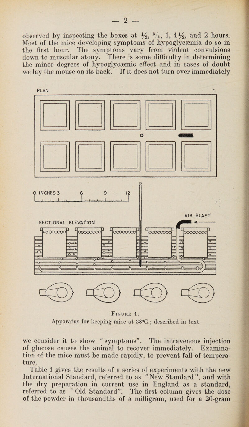 observed by inspecting the boxes at %, V4, 1, iy2, and 2 hours. Most of the mice developing symptoms of hypoglyceemia do so in the first hour. The symptoms vary from violent convulsions down to muscular atony. There is some difficulty in determining the minor degrees of hypoglycsemic effect and in cases of doubt we lay the mouse on its back. If it does not turn over immediately PLAN Figure 1. Apparatus for keeping mice at 38°G.; described in text. we consider it to show “ symptoms”. The intravenous injection of glucose causes the animal to recover immediately. Examina¬ tion of the mice must be made rapidly, to prevent fall of tempera¬ ture. Table 1 gives the results of a series of experiments with the new International Standard, referred to as “New Standard”, and with the dry preparation in current use in England as a standard, referred to as “ Old Standard”. The first column gives the dose of the powder in thousandths of a milligram, used for a 20-gram