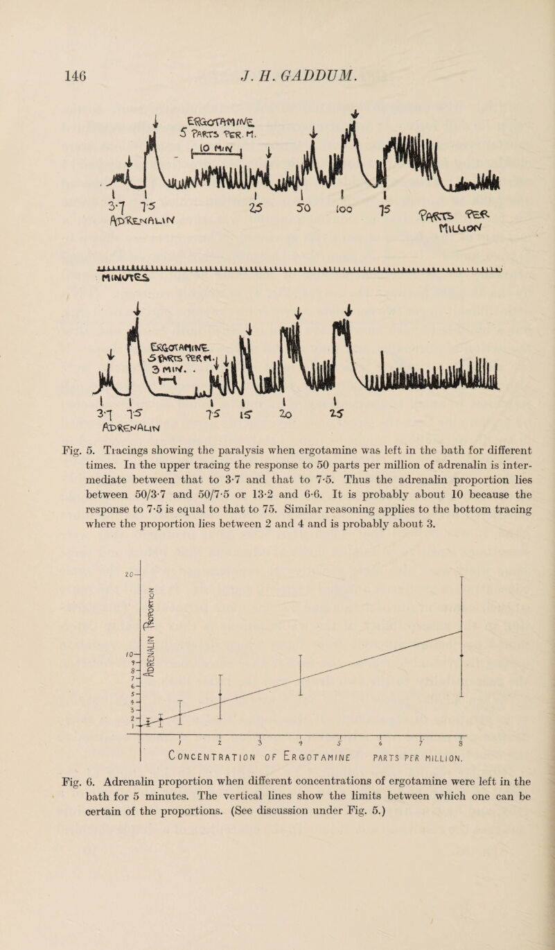 Ai.l-i.tiXmi-UA.LlJ,.lAlXUt HIM H Ltl iAAA LilliLLLAl LLLULll-Lti int.m » » 1 m llvA i 1a Ln MiMwrtes 3‘1 n-51 7 5 2o Z5 Ad*£^a uw Fig. 5. Tracings showing the paralysis when ergotamine was left in the bath for different times. In the upper tracing the response to 50 parts per million of adrenalin is inter¬ mediate between that to 3-7 and that to 7-5. Thus the adrenalin proportion lies between 50/3-7 and 50/7-5 or 13-2 and 6-6. It is probably about 10 because the response to 7-5 is equal to that to 75. Similar reasoning applies to the bottom tracing where the proportion lies between 2 and 4 and is probably about 3. Fig. G. Adrenalin proportion when different concentrations of ergotamine were left in the bath for 5 minutes. The vertical lines show the limits between which one can be certain of the proportions. (See discussion under Fig. 5.)