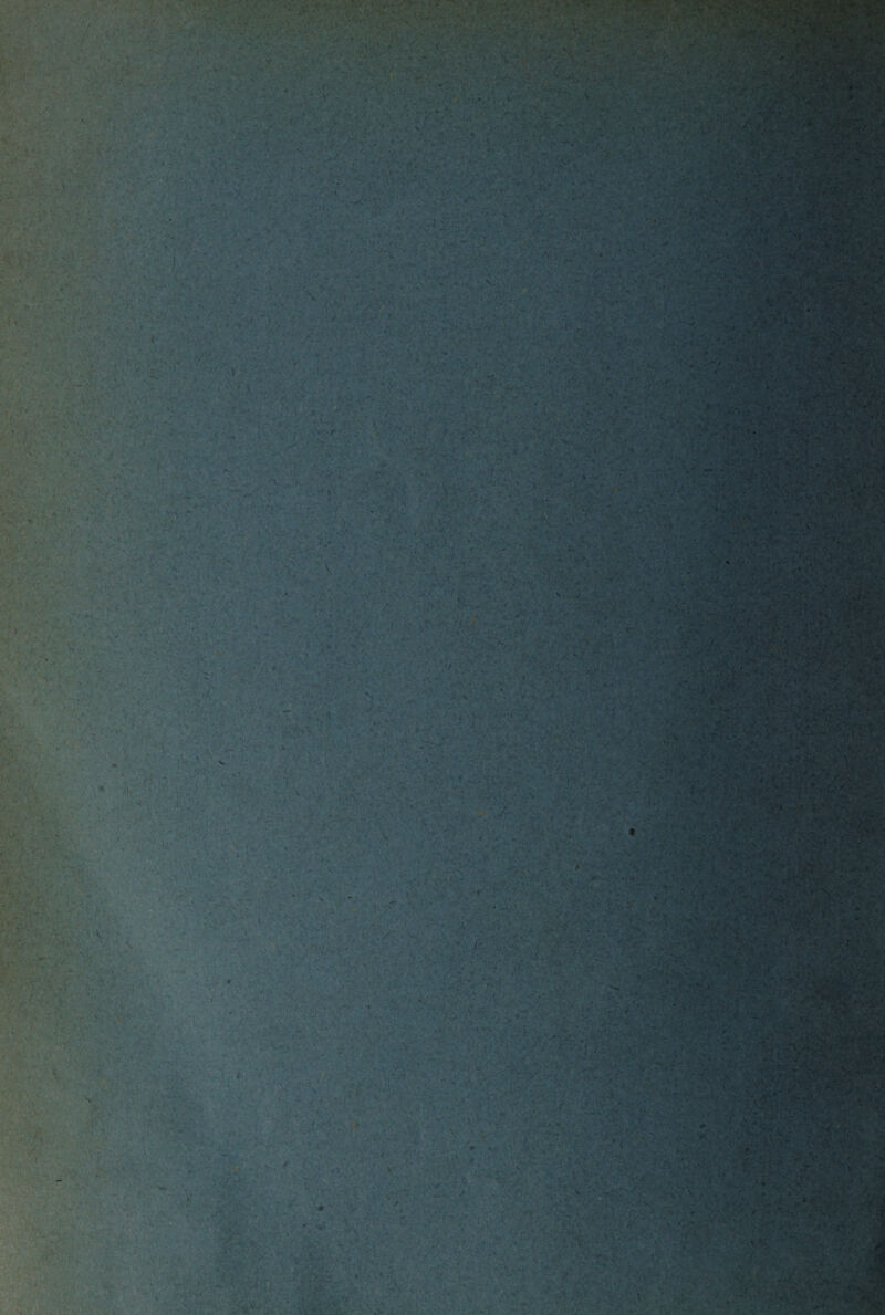 • ■ • Wi ■ e- • . ì > . • ir- ■'■j . . 7f ' ‘ - .V* . ' - • V • ryi^X ■’■■■ . - ... r - i.’ ' - . <-.T . ■ v' C <• * •« t ru.’- > ‘a, S : . ’ ■ .V /.•: •' . , •?' ■ ■ • • A-’ • *>iSf ’ S- '' . ■ ' . » •■> • • .•« 'yX- . ■ * V . : 1 ■ ./ • . j'iii . ..4'; $-V <; \ v~iv? r:#t ■ • .a- . / a V vVv o*-5 . f * \ • ; :'y^J '■< ’ Or* -&J . - f. ‘ .>•- rv- ì-y+n V ~ *v> ; -  •• • • •ro *>;; ■ : • ••, '. V ' •» ■ >.. *• 1