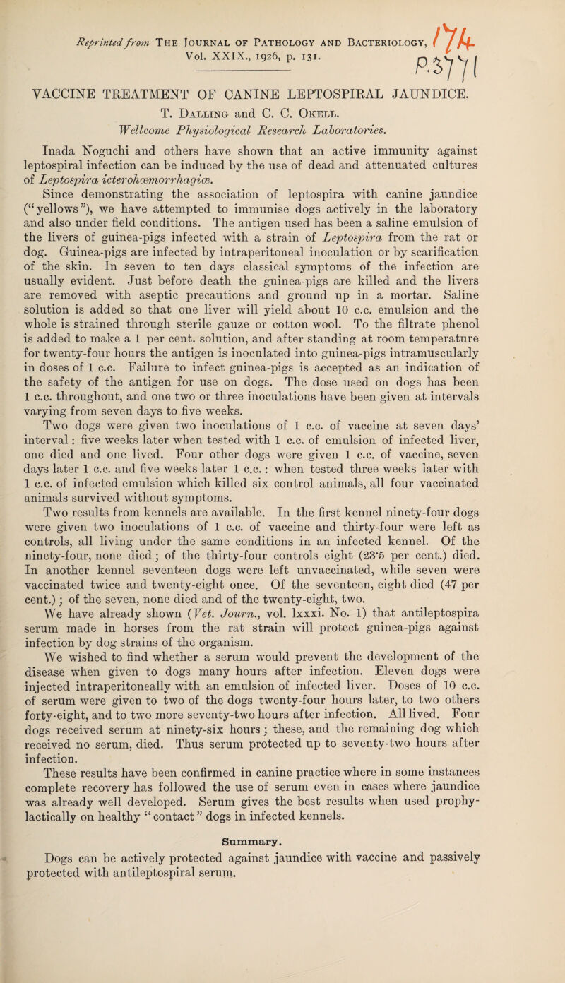 Reprinted from The JOURNAL OF PATHOLOGY AND Vol. XXIX., 1926, p. 131. VACCINE TREATMENT OF CANINE LEPTOSPIRAL JAUNDICE. T. Dalling and C. C. Okell. Wellcome Physiological Research Laboratories. Inada Noguclii and others have shown that an active immunity against leptospiral infection can be induced by the use of dead and attenuated cultures of Leptospira icterohcemorrhagice. Since demonstrating the association of leptospira with canine jaundice (“yellows”)? we have attempted to immunise dogs actively in the laboratory and also under field conditions. The antigen used has been a saline emulsion of the livers of guinea-pigs infected with a strain of Leptospira from the rat or dog. Guinea-pigs are infected by intraperitoneal inoculation or by scarification of the skin. In seven to ten days classical symptoms of the infection are usually evident. Just before death the guinea-pigs are killed and the livers are removed with aseptic precautions and ground up in a mortar. Saline solution is added so that one liver will yield about 10 c.c. emulsion and the whole is strained through sterile gauze or cotton wool. To the filtrate phenol is added to make a 1 per cent, solution, and after standing at room temperature for twenty-four hours the antigen is inoculated into guinea-pigs intramuscularly in doses of 1 c.c. Failure to infect guinea-pigs is accepted as an indication of the safety of the antigen for use on dogs. The dose used on dogs has been 1 c.c. throughout, and one two or three inoculations have been given at intervals varying from seven days to five weeks. Two dogs were given two inoculations of 1 c.c. of vaccine at seven days’ interval: five weeks later when tested with 1 c.c. of emulsion of infected liver, one died and one lived. Four other dogs were given 1 c.c. of vaccine, seven days later 1 c.c. and five weeks later 1 c.c.: when tested three weeks later with 1 c.c. of infected emulsion which killed six control animals, all four vaccinated animals survived without symptoms. Two results from kennels are available. In the first kennel ninety-four dogs were given two inoculations of 1 c.c. of vaccine and thirty-four were left as controls, all living under the same conditions in an infected kennel. Of the ninety-four, none died; of the thirty-four controls eight (23’5 per cent.) died. In another kennel seventeen dogs were left unvaccinated, while seven were vaccinated twice and twenty-eight once. Of the seventeen, eight died (47 per cent.); of the seven, none died and of the twenty-eight, two. We have already shown (Vet. Journ., vol. lxxxi. No. 1) that antileptospira serum made in horses from the rat strain will protect guinea-pigs against infection by dog strains of the organism. We wished to find whether a serum would prevent the development of the disease when given to dogs many hours after infection. Eleven dogs were injected intraperitoneally with an emulsion of infected liver. Doses of 10 c.c. of serum were given to two of the dogs twenty-four hours later, to two others forty-eight, and to two more seventy-two hours after infection. All lived. Four dogs received serum at ninety-six hours; these, and the remaining dog which received no serum, died. Thus serum protected up to seventy-two hours after infection. These results have been confirmed in canine practice where in some instances complete recovery has followed the use of serum even in cases where jaundice was already well developed. Serum gives the best results when used prophy- lactically on healthy “ contact ” dogs in infected kennels. Summary. Dogs can be actively protected against jaundice with vaccine and passively protected with antileptospiral serum.