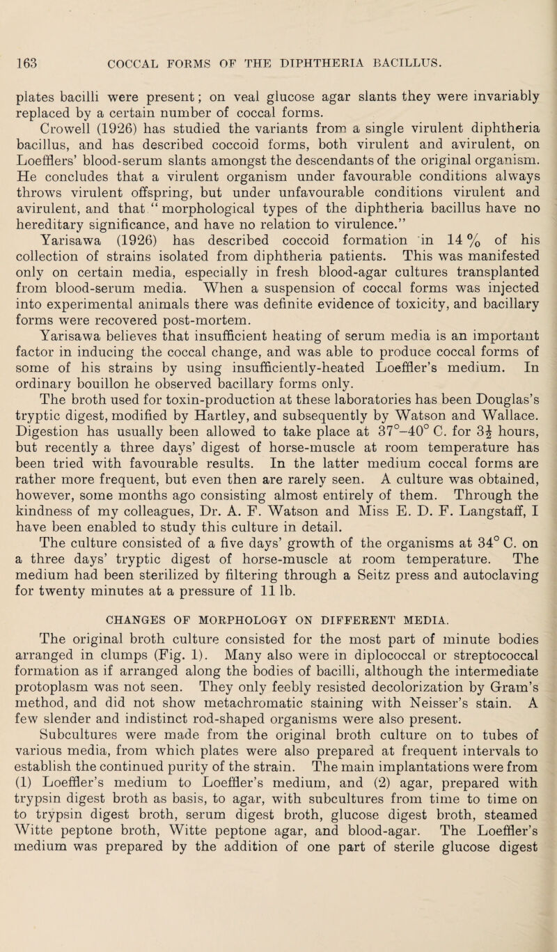 plates bacilli were present; on veal glucose agar slants they were invariably replaced by a certain number of coccal forms. Crowell (1926) has studied the variants from a single virulent diphtheria bacillus, and has described coccoid forms, both virulent and avirulent, on Loeffiers’ blood-serum slants amongst the descendants of the original organism. He concludes that a virulent organism under favourable conditions always throws virulent offspring, but under unfavourable conditions virulent and avirulent, and that “ morphological types of the diphtheria bacillus have no hereditary significance, and have no relation to virulence.” Yarisawa (1926) has described coccoid formation in 14% of his collection of strains isolated from diphtheria patients. This was manifested only on certain media, especially in fresh blood-agar cultures transplanted from blood-serum media. When a suspension of coccal forms was injected into experimental animals there was definite evidence of toxicity, and bacillary forms were recovered post-mortem. Yarisawa believes that insufficient heating of serum media is an important factor in inducing the coccal change, and was able to produce coccal forms of some of his strains by using insufficiently-heated Loeffier’s medium. In ordinary bouillon he observed bacillary forms only. The broth used for toxin-production at these laboratories has been Douglas’s tryptic digest, modified by Hartley, and subsequently by Watson and Wallace. Digestion has usually been allowed to take place at 37°-40° C. for 3J hours, but recently a three days’ digest of horse-muscle at room temperature has been tried with favourable results. In the latter medium coccal forms are rather more frequent, but even then are rarely seen. A culture was obtained, however, some months ago consisting almost entirely of them. Through the kindness of my colleagues, Dr. A. F. Watson and Miss E. D. F. Langstaff, I have been enabled to study this culture in detail. The culture consisted of a five days’ growth of the organisms at 34° C. on a three days’ tryptic digest of horse-muscle at room temperature. The medium had been sterilized by filtering through a Seitz press and autoclaving for twenty minutes at a pressure of 11 lb. CHANGES OF MORPHOLOGY ON DIFFERENT MEDIA. The original broth culture consisted for the most part of minute bodies arranged in clumps (Fig. 1). Many also were in diplococcal or streptococcal formation as if arranged along the bodies of bacilli, although the intermediate protoplasm was not seen. They only feebly resisted decolorization by Gram’s method, and did not show metachromatic staining with Neisser’s stain. A few slender and indistinct rod-shaped organisms were also present. Subcultures were made from the original broth culture on to tubes of various media, from which plates were also prepared at frequent intervals to establish the continued purity of the strain. The main implantations were from (1) Loeffier’s medium to Loeffier’s medium, and (2) agar, prepared with trypsin digest broth as basis, to agar, with subcultures from time to time on to trypsin digest broth, serum digest broth, glucose digest broth, steamed Witte peptone broth, Witte peptone agar, and blood-agar. The Loeffier’s medium was prepared by the addition of one part of sterile glucose digest
