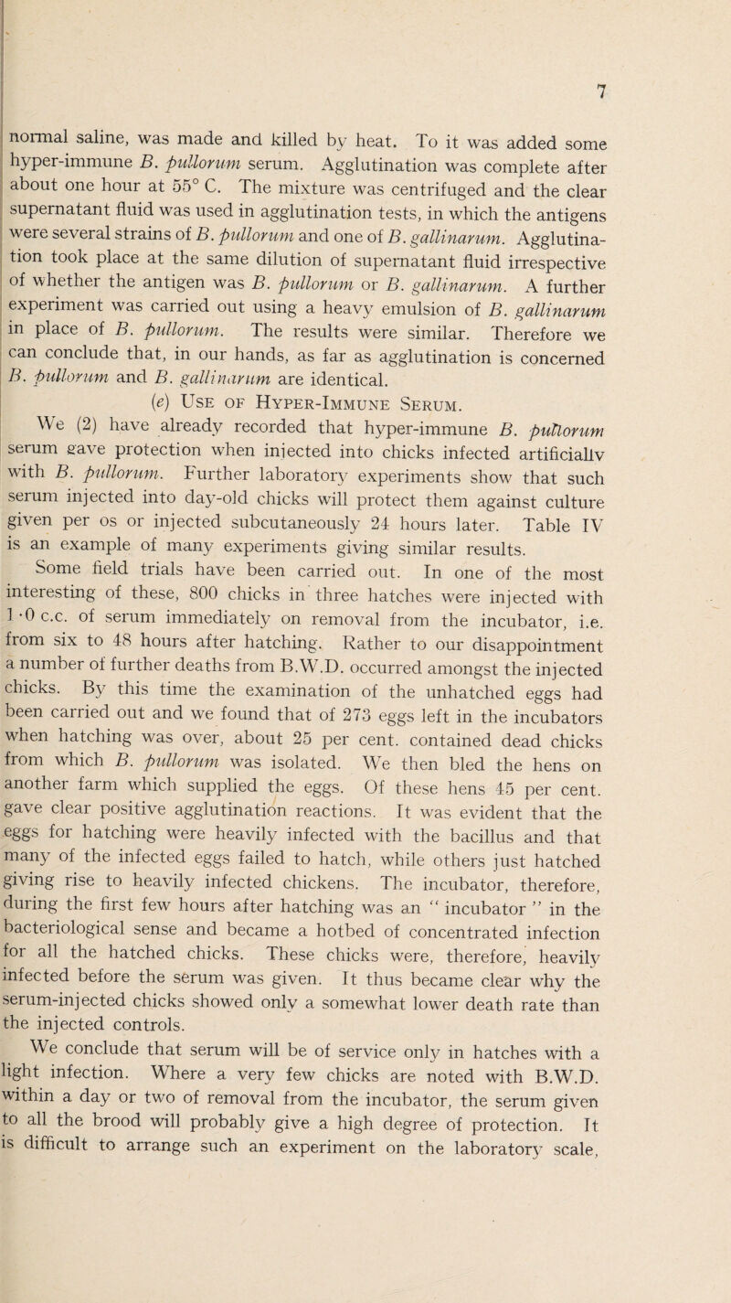 normal saline, was made and killed by heat. To it was added some hyper-immune B. puUorum serum. Agglutination was complete after about one hour at 55° C. The mixture was centrifuged and the clear supernatant fluid was used in agglutination tests, in which the antigens were several strains of B. pullorum and one of B. gallinarum. Agglutina¬ tion took place at the same dilution of supernatant fluid irrespective of whether the antigen was B. pullorum or B. gallinarum. A further experiment was carried out using a heavy emulsion of B. gallinarum in place of B. pullorum. The results were similar. Therefore we can conclude that, in our hands, as far as agglutination is concerned B. pullorum and B. gallinarum are identical. (e) Use of Hyper-Immune Serum. We (2) have already recorded that hyper-immune B. pullorum serum gave protection when iniected into chicks infected artificiallv with B. pullorum. burther laboratory experiments show that such serum injected into day-old chicks will protect them against culture given per os or injected subcutaneously 24 hours later. Table IV is an example of many experiments giving similar results. Some held trials have been carried out. In one of the most interesting of these, 800 chicks in'three hatches were injected with 1*0 c.c. of serum immediately on removal from the incubator, i.e. from six to 48 hours after hatching. Rather to our disappointment a number of further deaths from B.W.D. occurred amongst the injected chicks. By this time the examination of the unhatched eggs had been carried out and we found that of 273 eggs left in the incubators when hatching was over, about 25 per cent, contained dead chicks from which B. pullorum was isolated. We then bled the hens on another farm which supplied the eggs. Of these hens 45 per cent, gave clear positive agglutination reactions. It was evident that the eggs for hatching were heavily infected with the bacillus and that many of the infected eggs failed to hatch, while others just hatched giving rise to heavily infected chickens. The incubator, therefore, during the first few hours after hatching was an “ incubator ” in the bacteriological sense and became a hotbed of concentrated infection for all the hatched chicks. These chicks were, therefore, heavily infected before the serum was given. It thus became clear wThy the serum-injected chicks showed only a somewhat lower death rate than the injected controls. We conclude that serum will be of service only in hatches with a light infection. Where a very few chicks are noted with B.W.D. within a day or two of removal from the incubator, the serum given to all the brood will probably give a high degree of protection. It is difficult to arrange such an experiment on the laboratory scale,