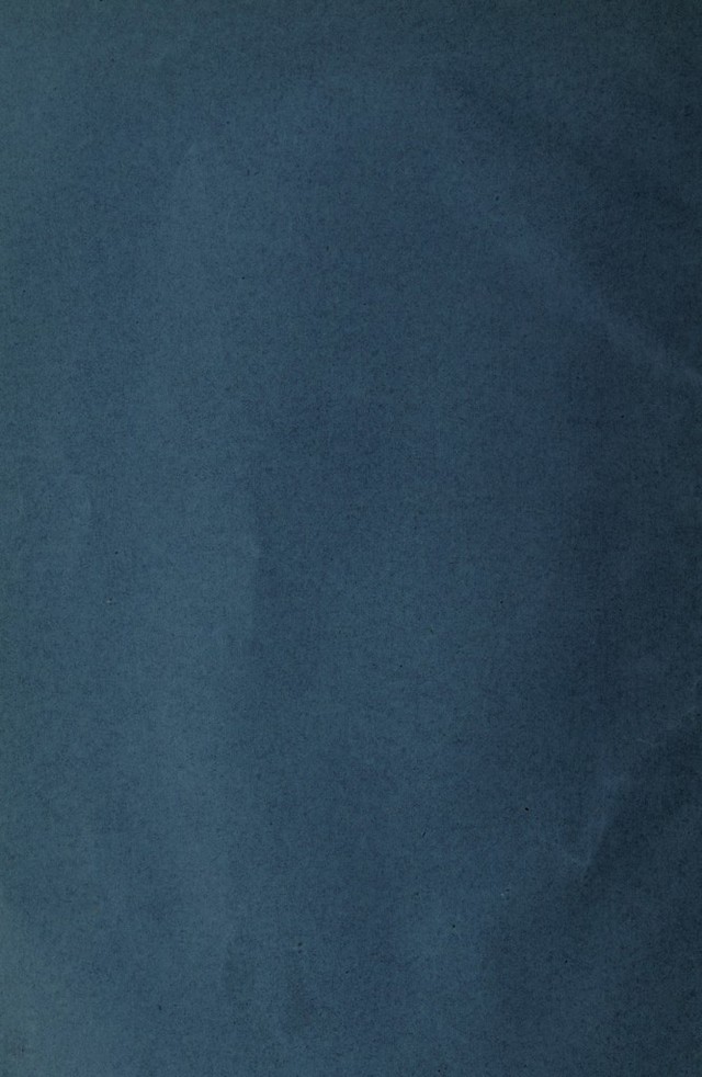 digitised image 2
