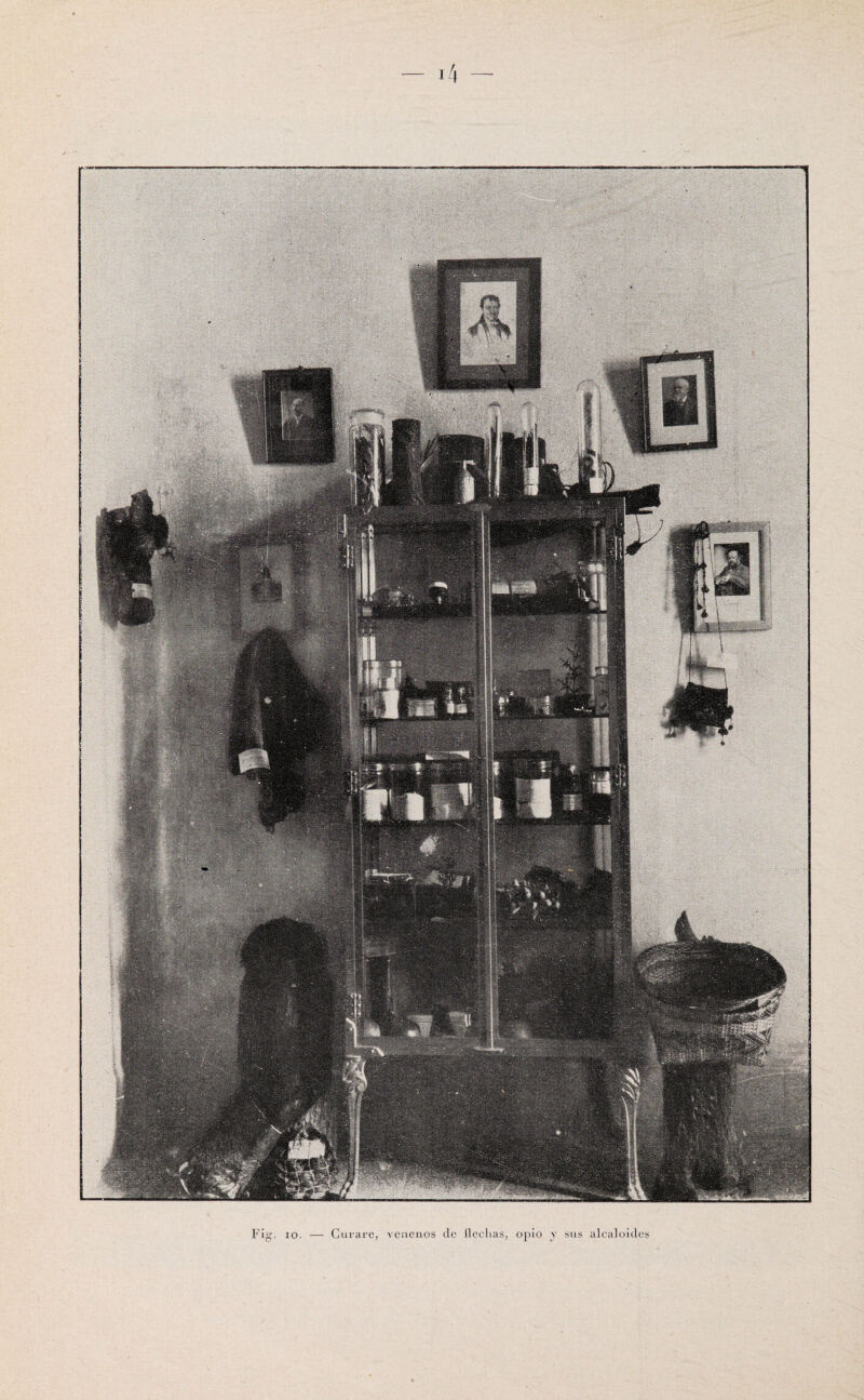 — Curare, venenos de llcclias, opio y sus alcaloides