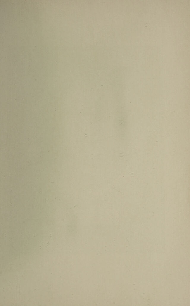 digitised image 3