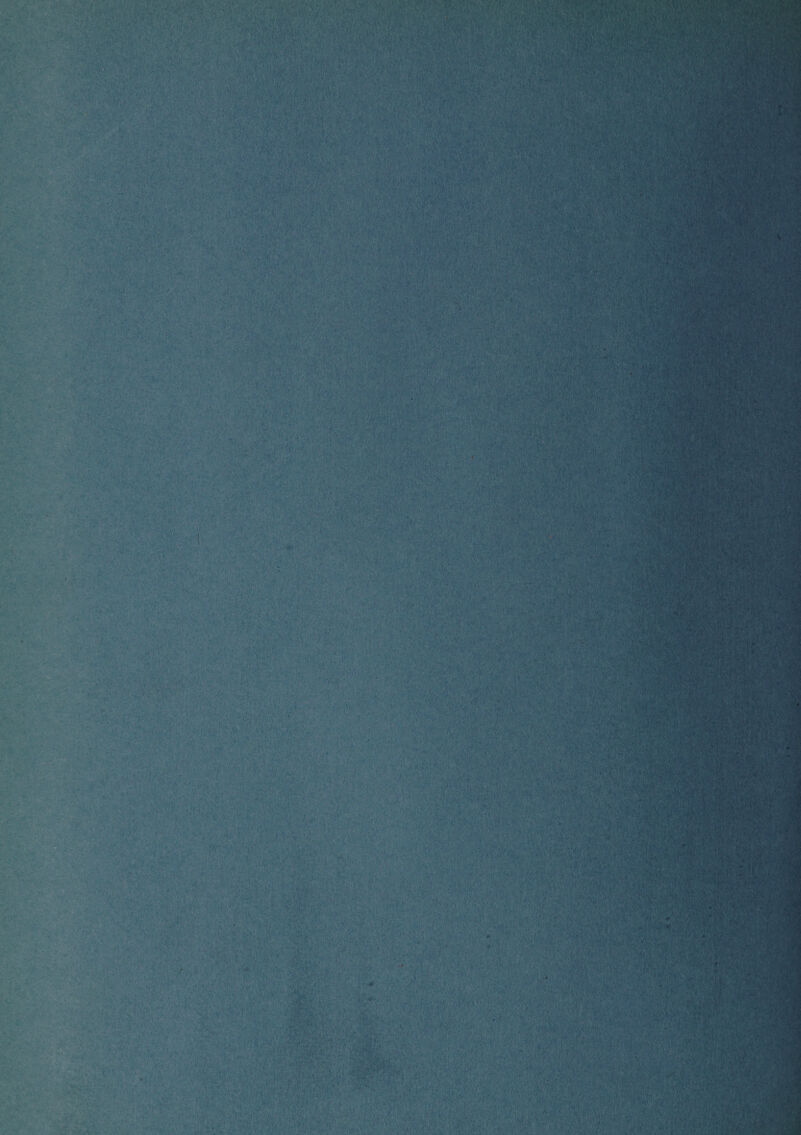 ’Vitfr ,1 m i • '*•. 1 - ■>' v'.' v.V,« A r, >Vj ’M wTfi £ ■ r/i f