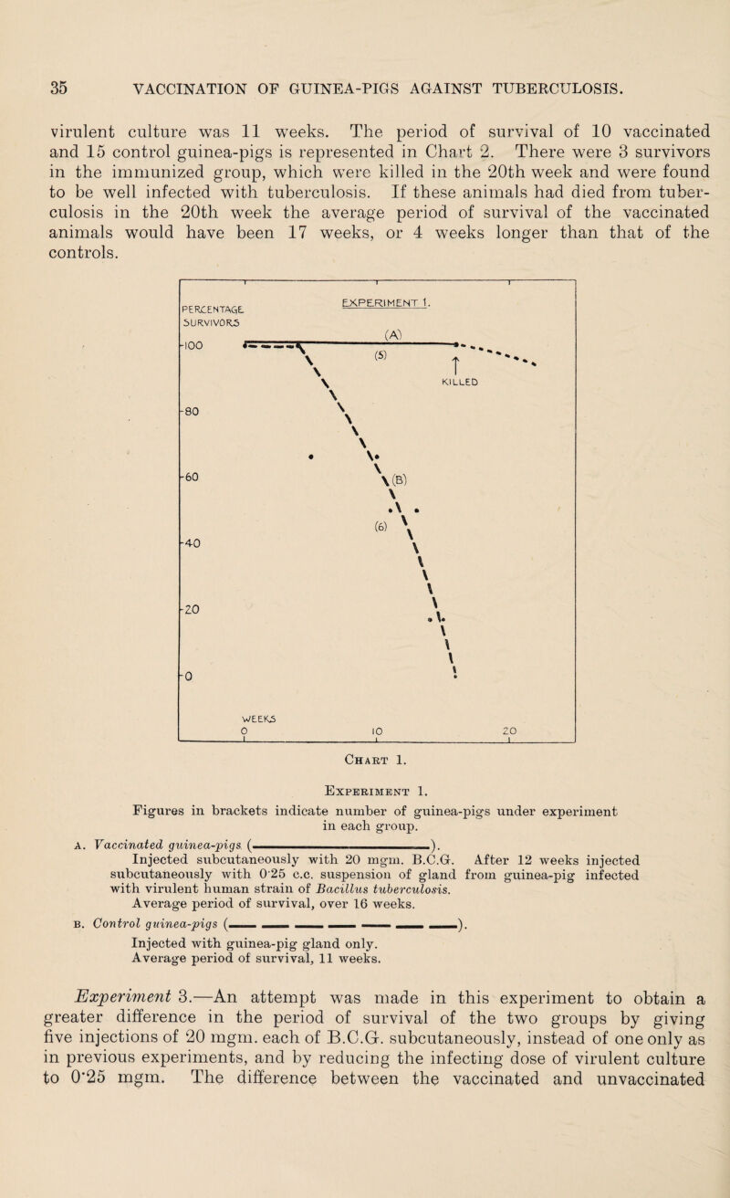 virulent culture was 11 weeks. The period of survival of 10 vaccinated and 15 control guinea-pigs is represented in Chart 2. There were 3 survivors in the immunized group, which were killed in the 20th week and were found to be well infected with tuberculosis. If these animals had died from tuber¬ culosis in the 20th week the average period of survival of the vaccinated animals would have been 17 weeks, or 4 weeks longer than that of the controls. PERCENTAGE SURVIVORS 100 EXPERIMENT 1. (A) -80 -60 -40 -Z 0 -0 WEEKS O (5) \(B) \ (6) \ -»**, T KILLED \. \ Chart 1. Experiment 1. A. Figures in brackets indicate number of guinea-pigs under experiment in each group. VaccAnated guinea-pigs (- ). Injected subcutaneously with 20 mgm. B.C.G. After 12 weeks injected subcutaneously with 0 25 c.c. suspension of gland from guinea-pig infected with virulent human strain of Bacillus tuberculosis. Average period of survival, over 16 weeks. B. Control guinea-pigs (—_ ___ __ _ — Injected with guinea-pig gland only. Average period of survival, 11 weeks. Experiment 3.—An attempt was made in this experiment to obtain a greater difference in the period of survival of the two groups by giving five injections of 20 mgm. each of B.C.G. subcutaneously, instead of one only as in previous experiments, and by reducing the infecting dose of virulent culture to 0*25 mgm. The difference between the vaccinated and unvaccinated